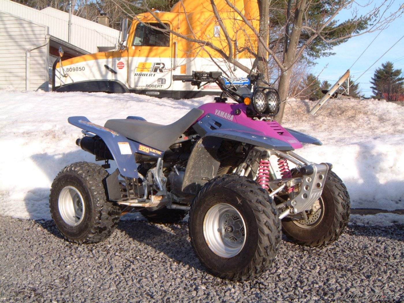 Photo 266187
