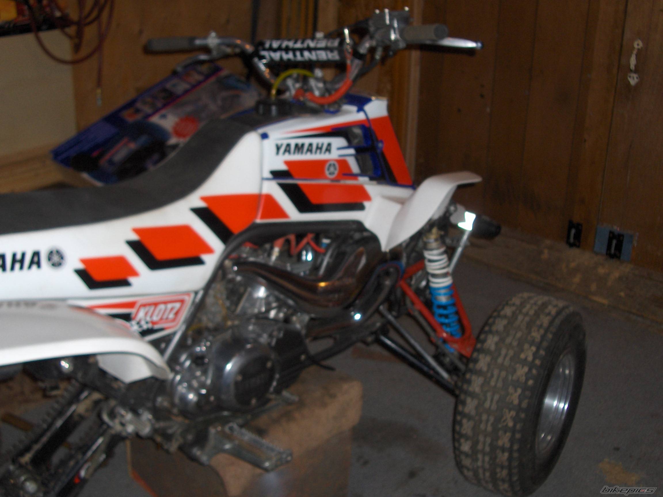Photo 266194
