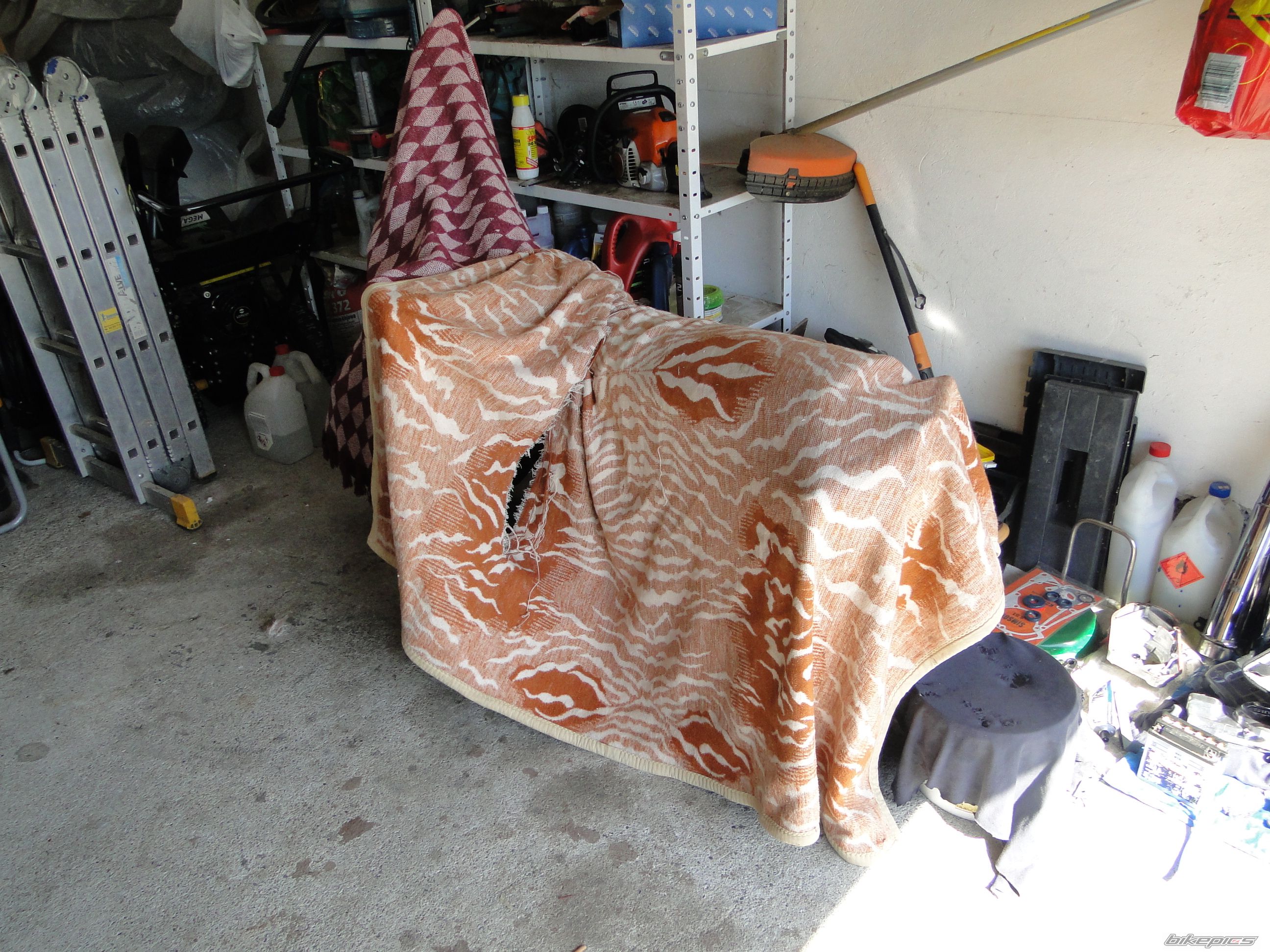 Photo 2661960