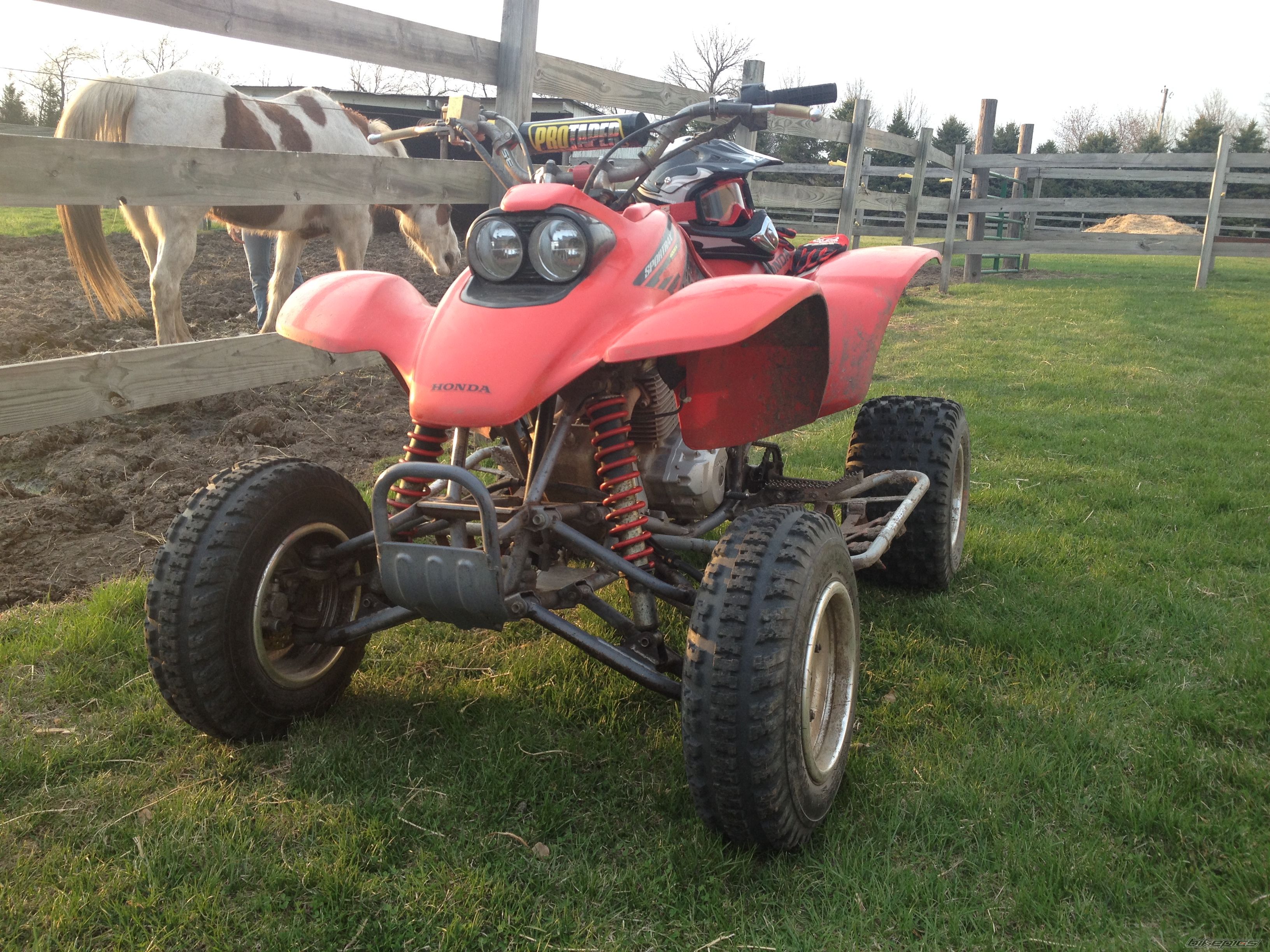 Photo 2661976
