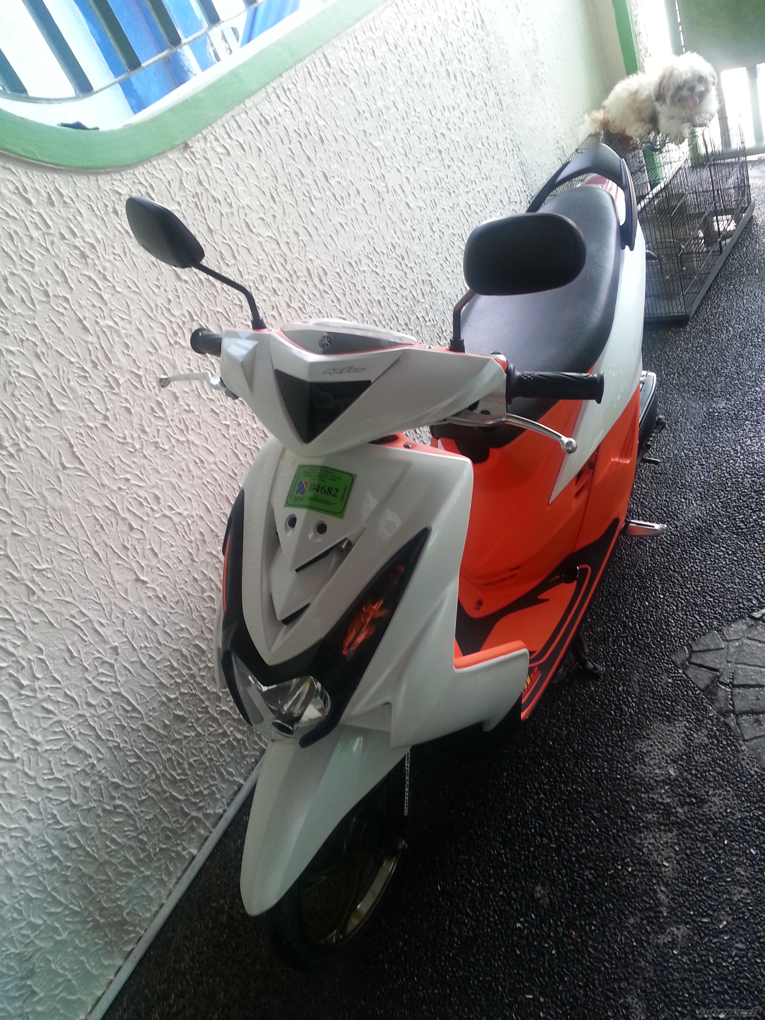 Photo 2662134
