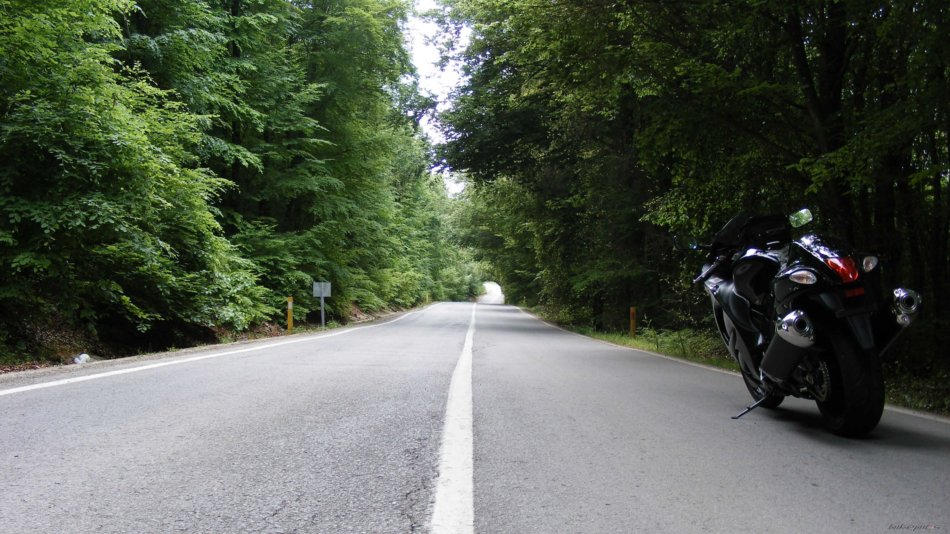 Photo 2662165