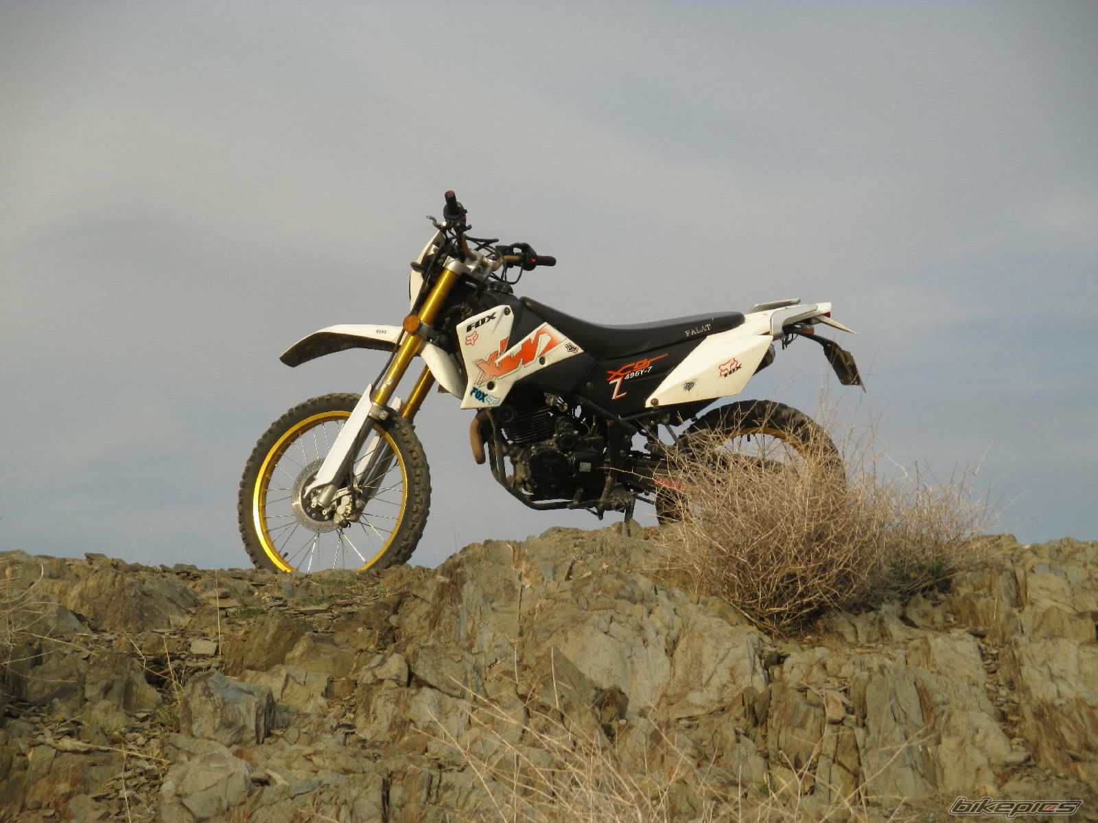 Photo 2662186