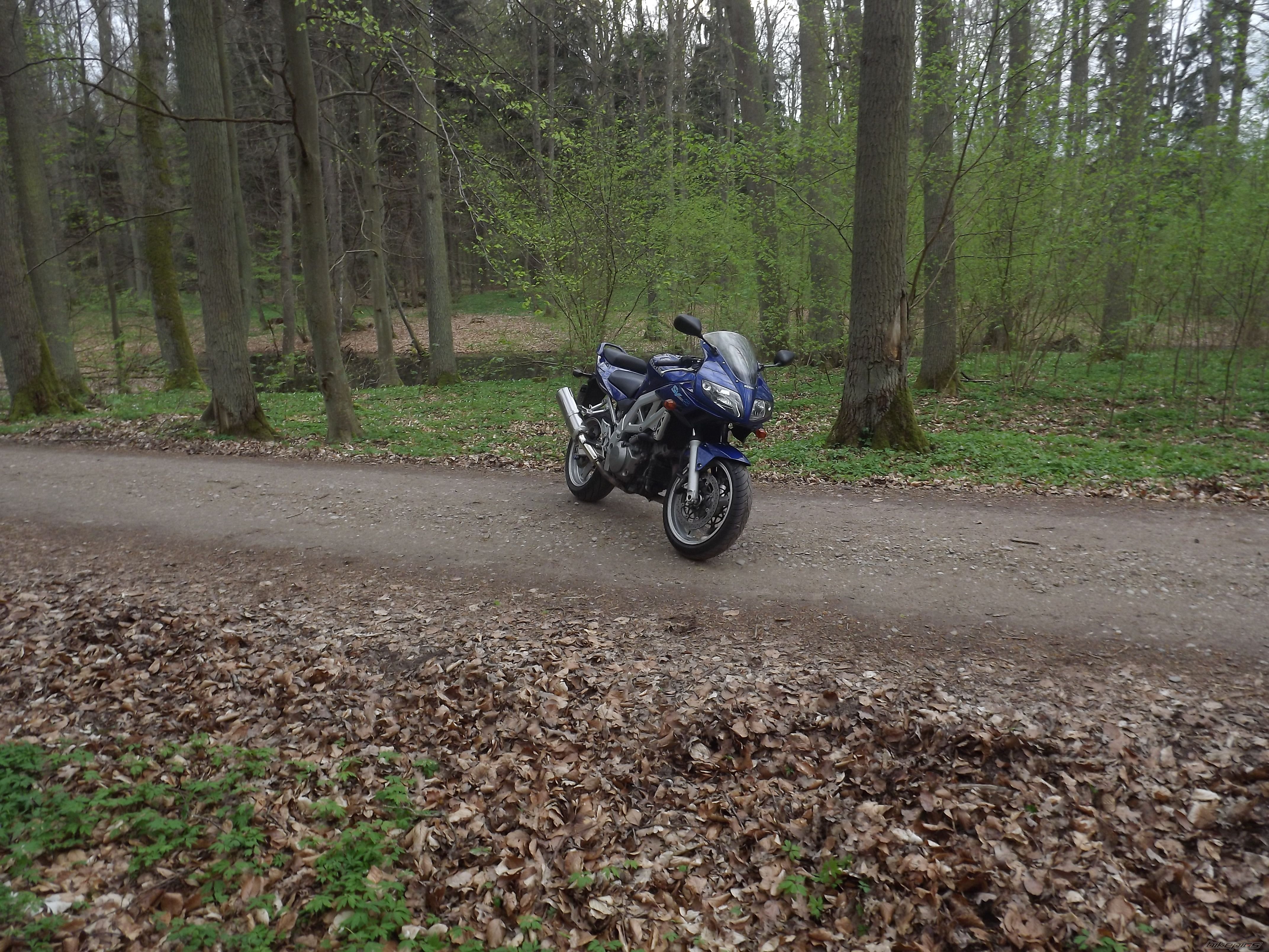 Photo 2662253