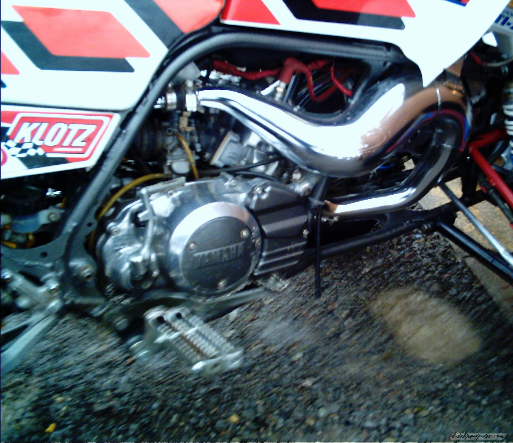 Photo 266227