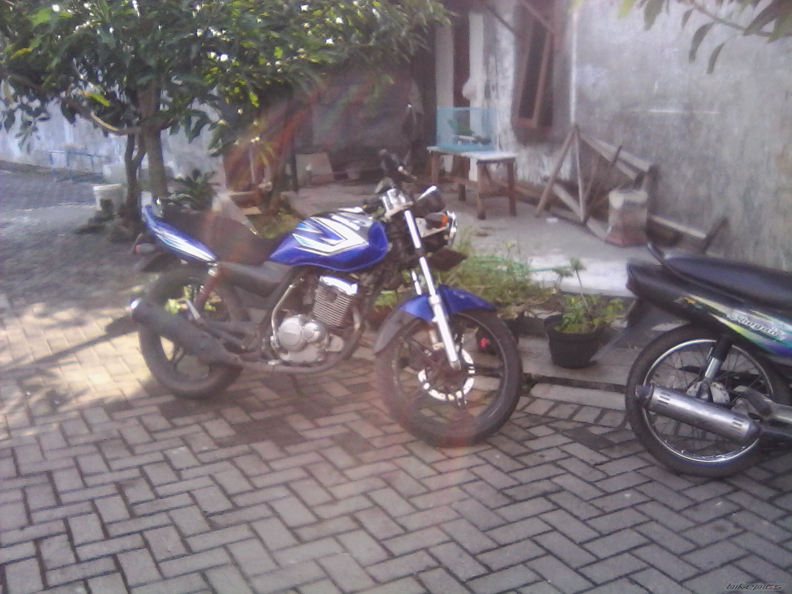 Photo 2662429