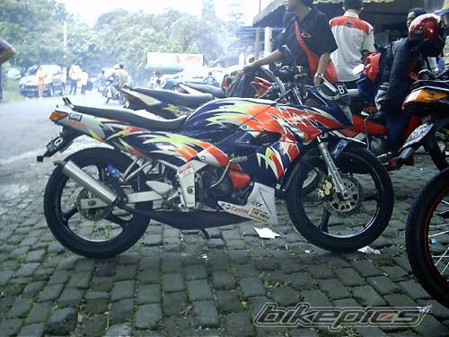 Photo 266252