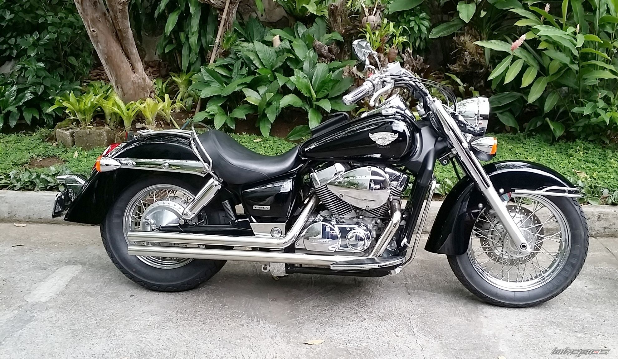 Photo 2662701