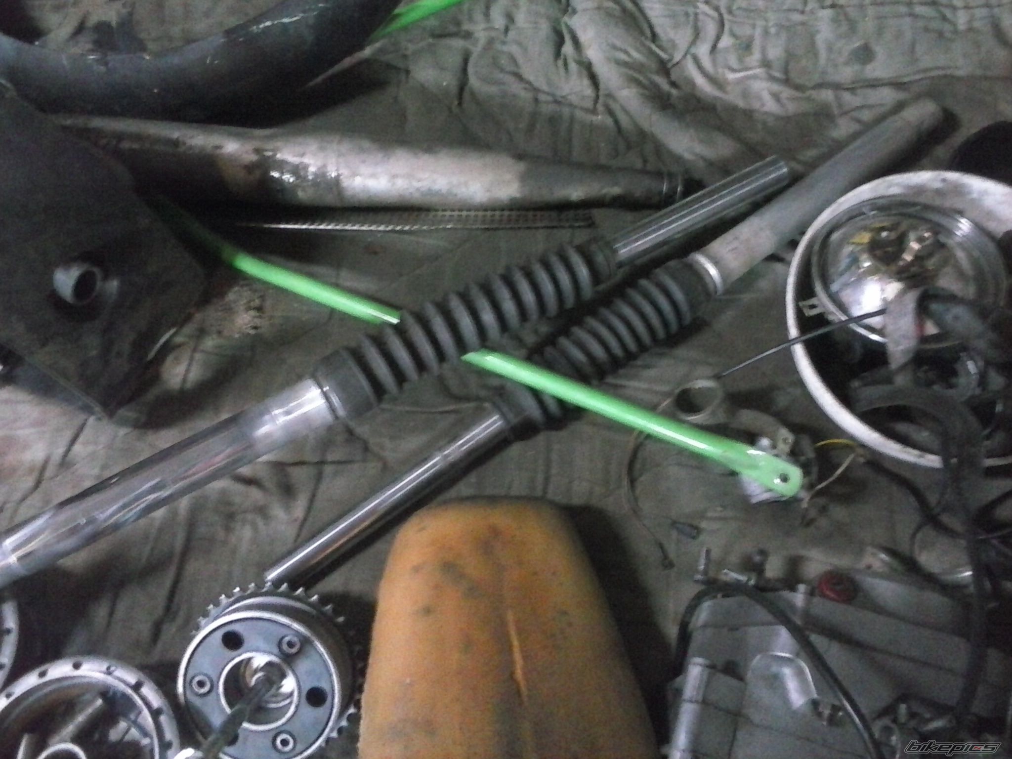 Photo 2662794