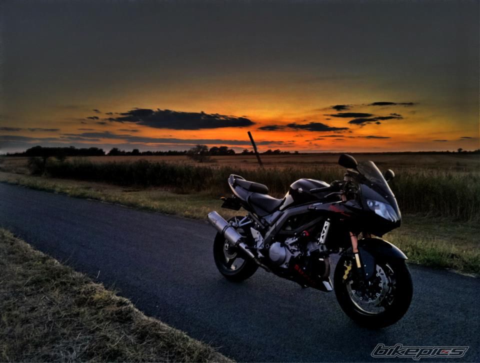 Photo 2662990