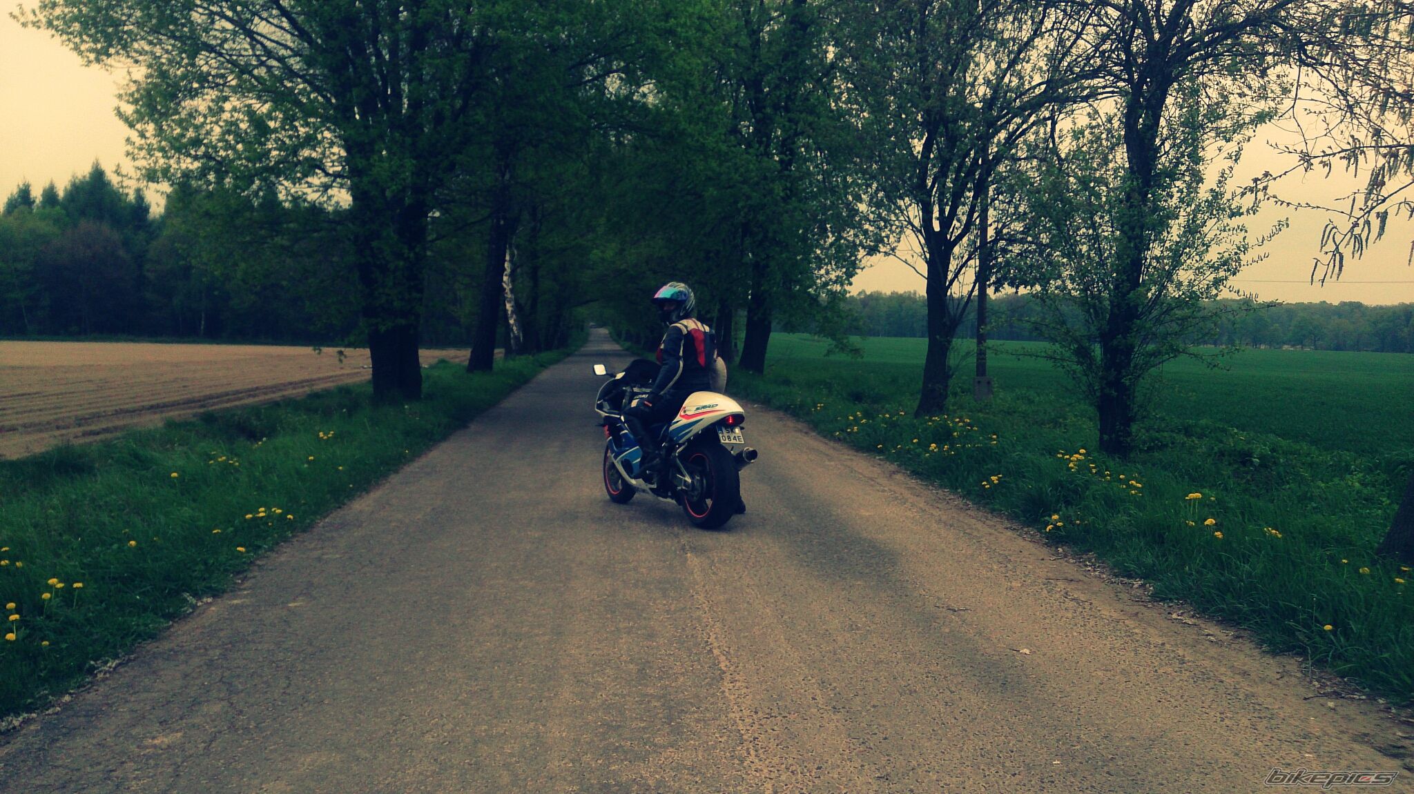 Photo 2663067