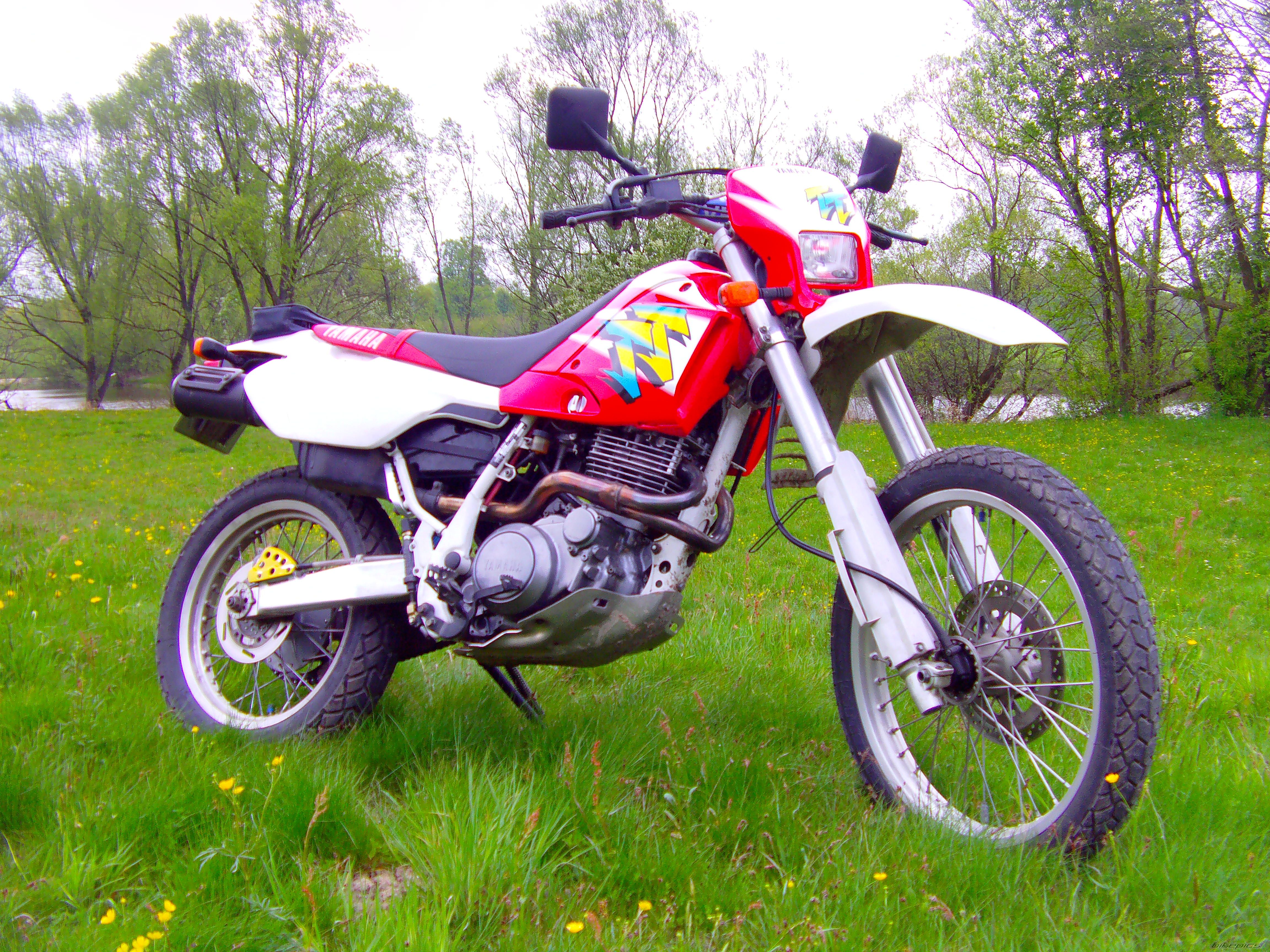 Bike Photo 2663074