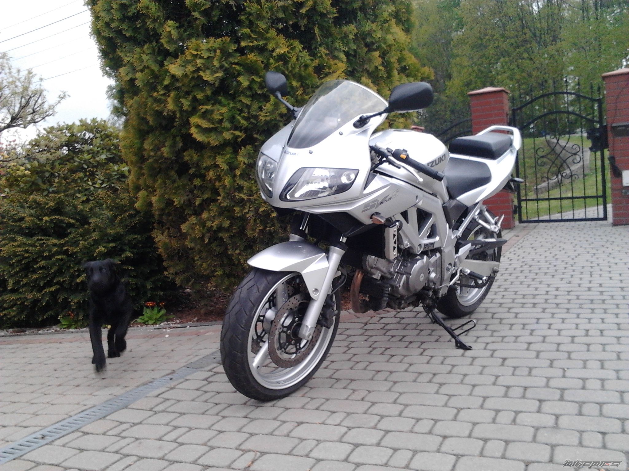 Photo 2663079