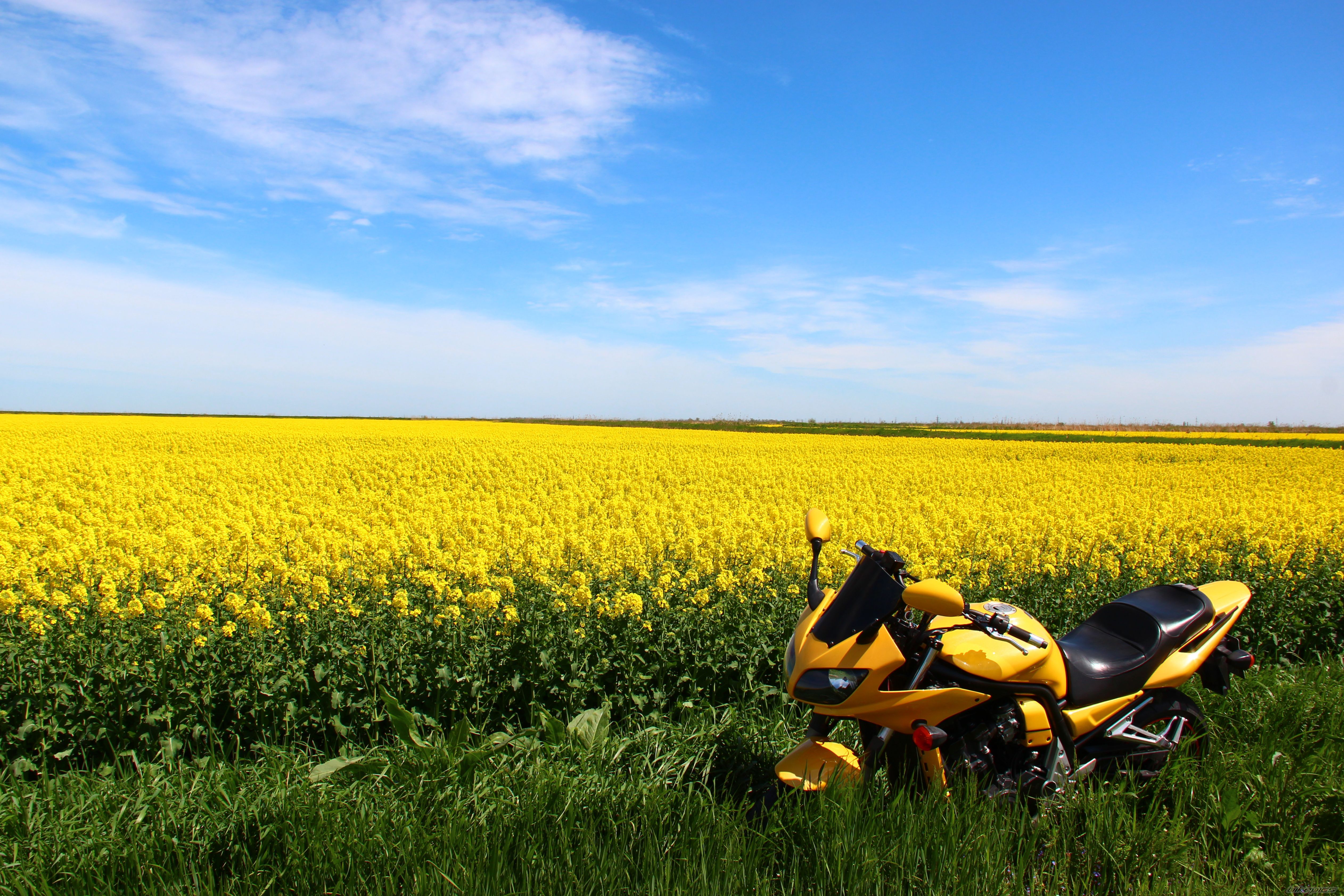 Bike Photo 2663104