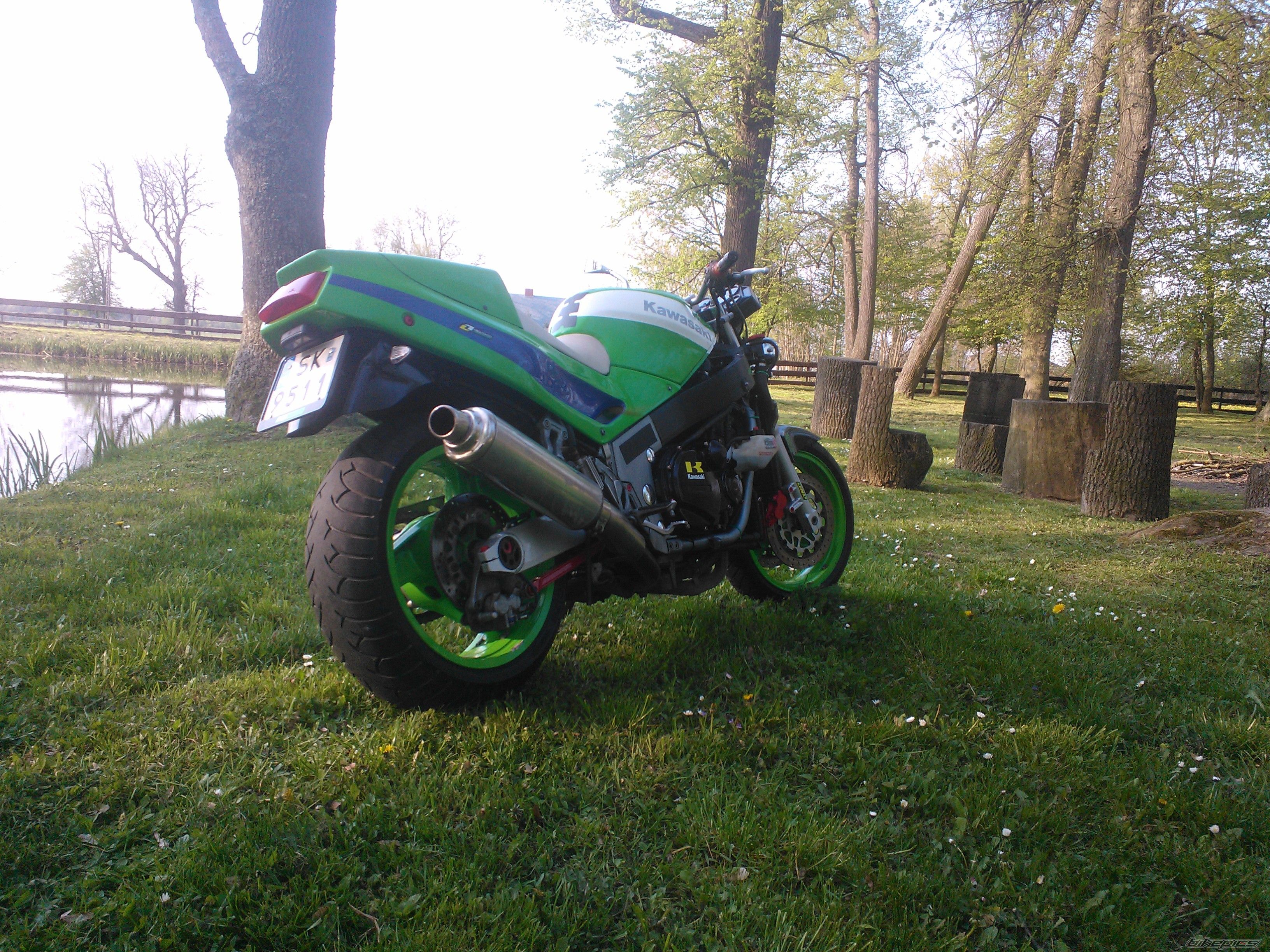 Photo 2663117