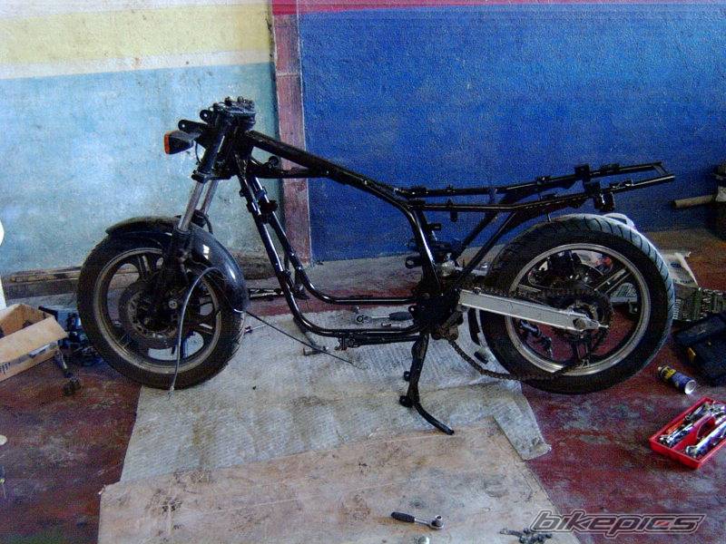 Photo 266327