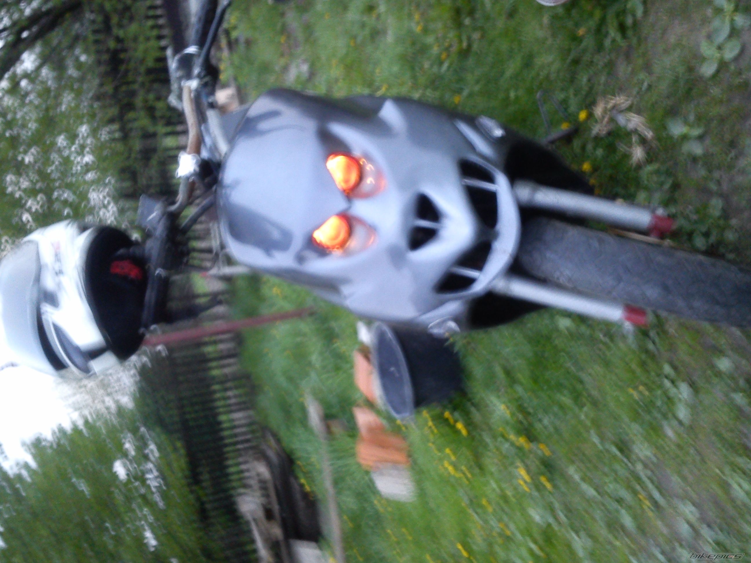 Photo 2663350