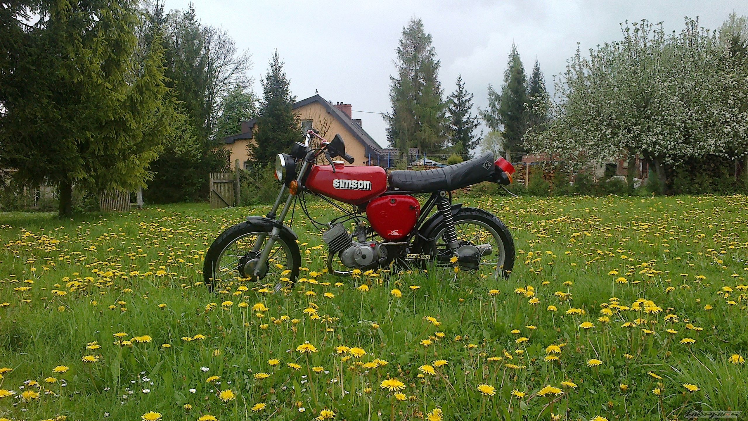 Photo 2663489