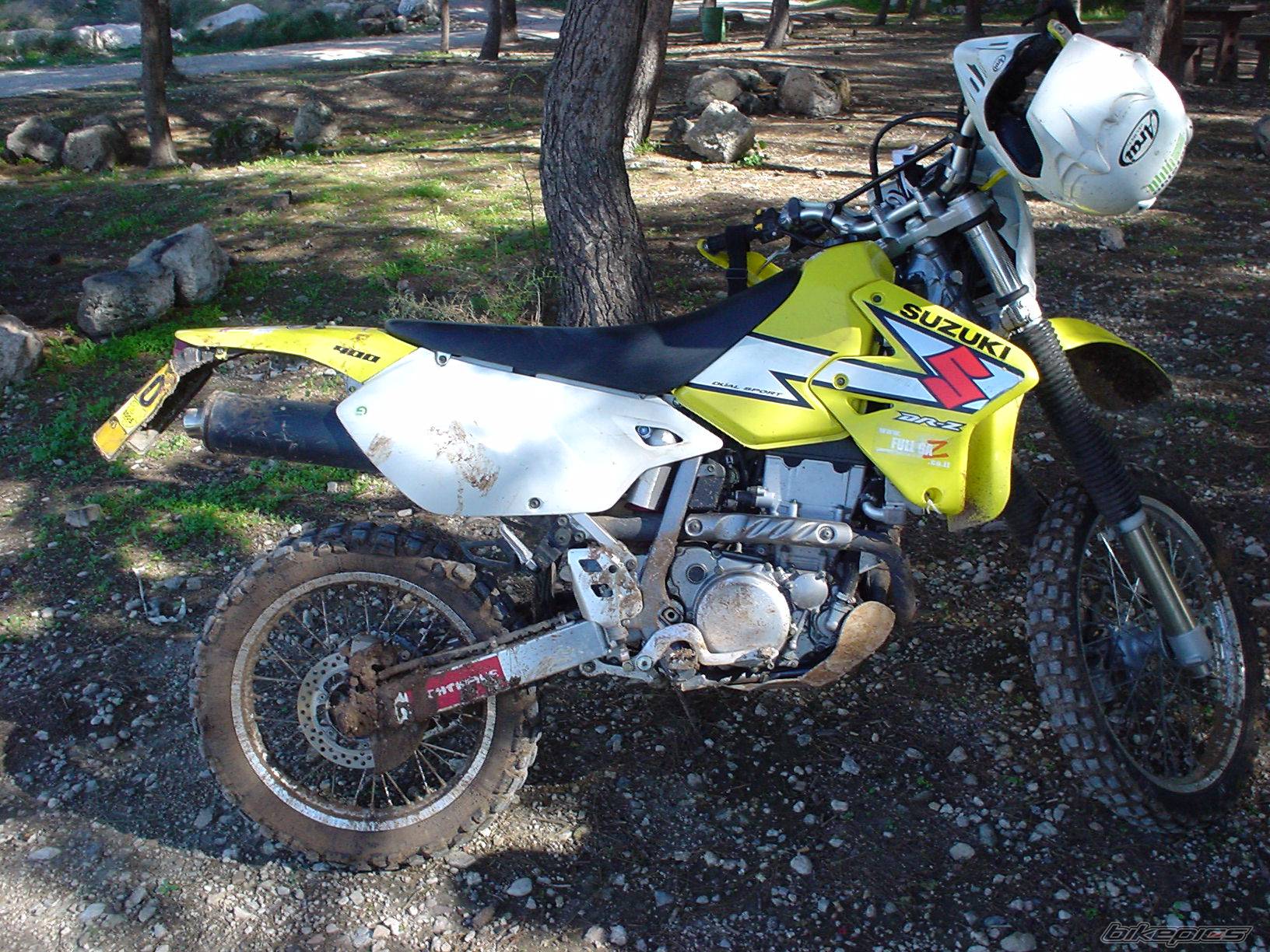 Photo 266353