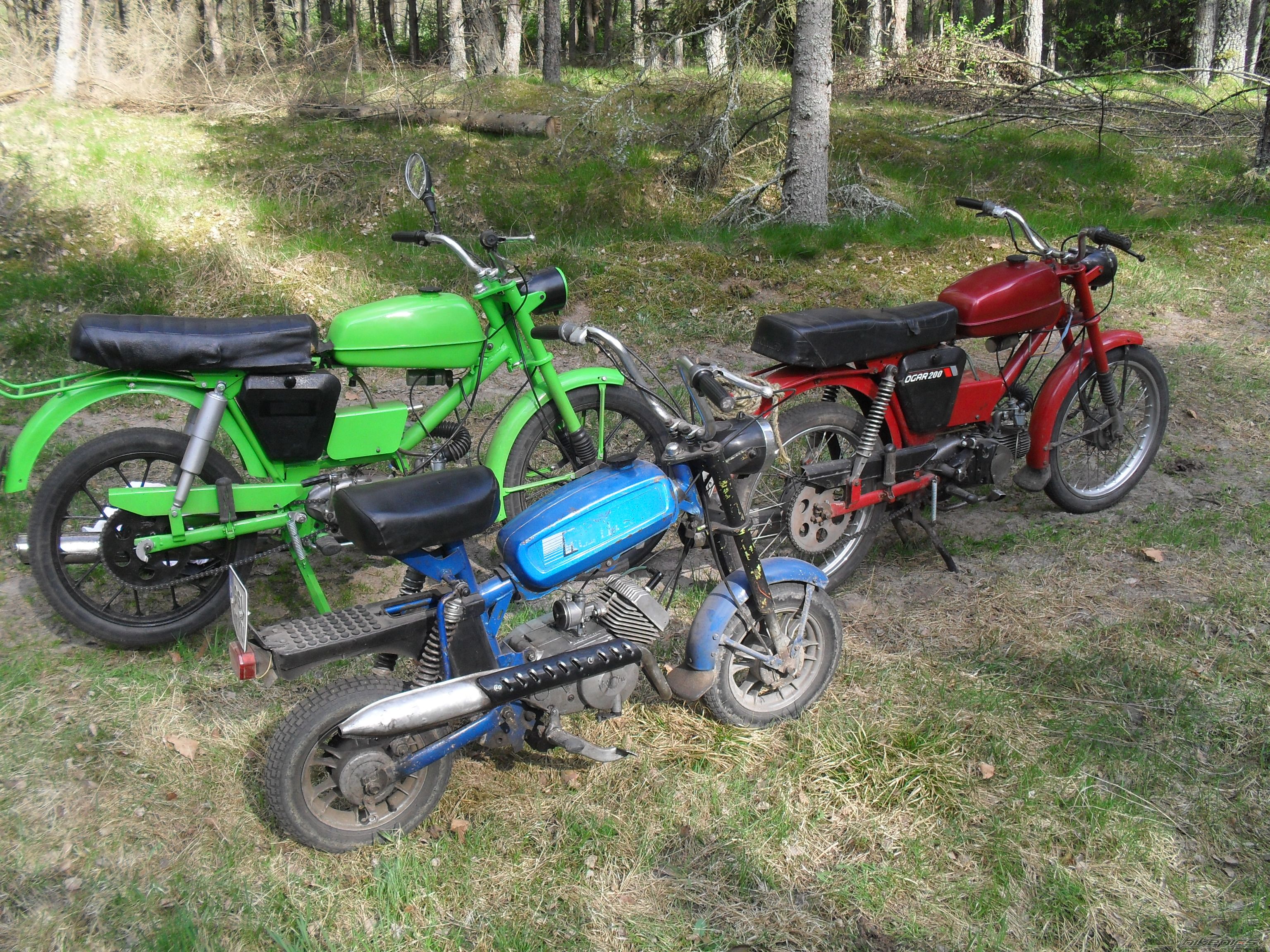 Photo 2663693