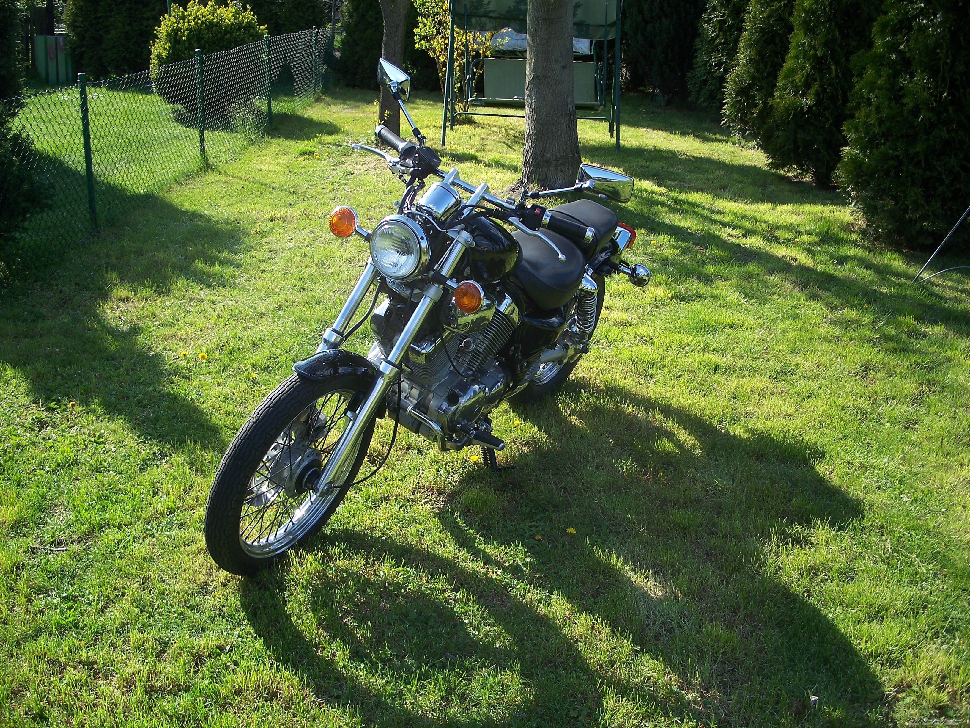 Photo 2663724