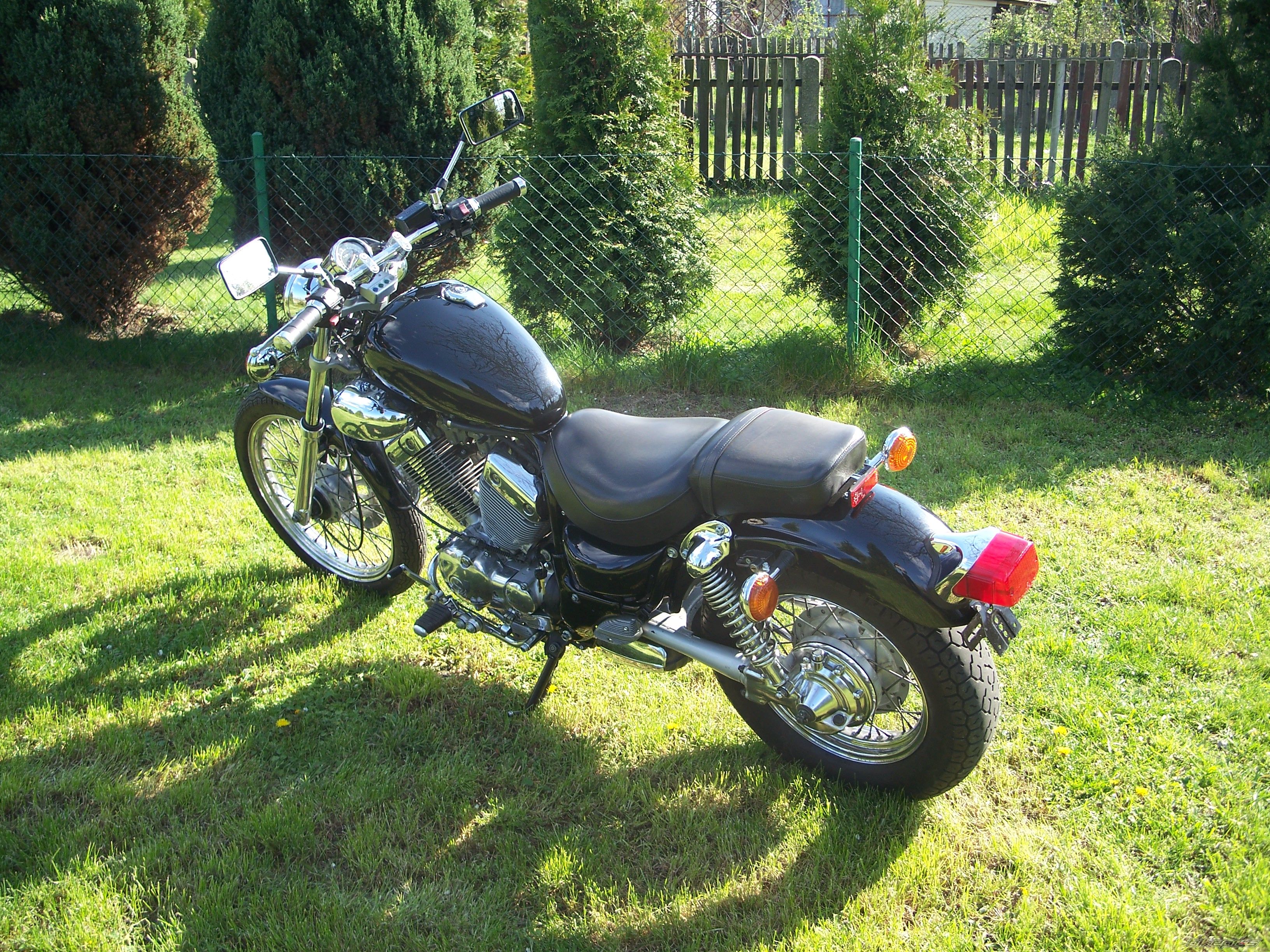 Photo 2663727