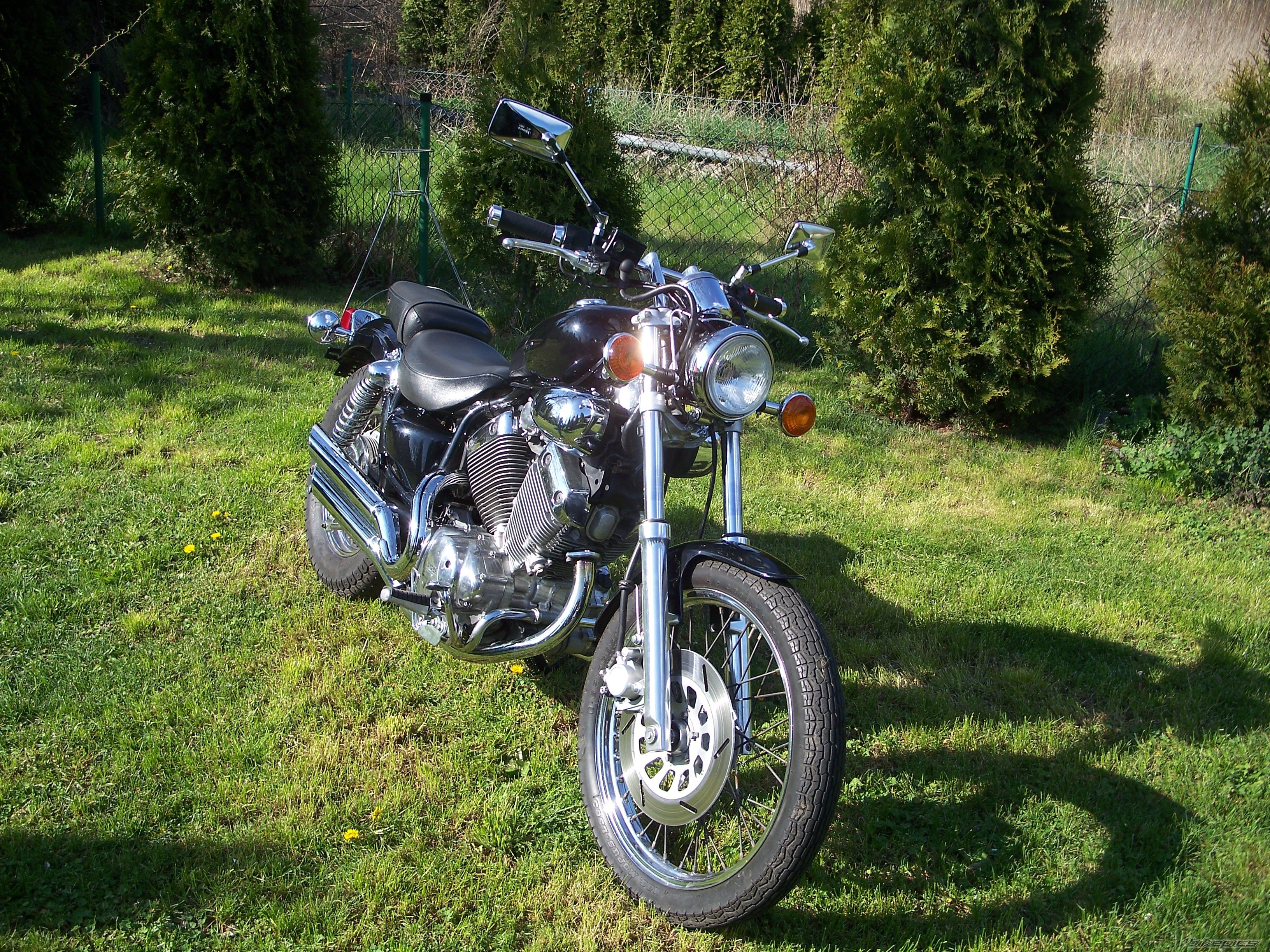Photo 2663732