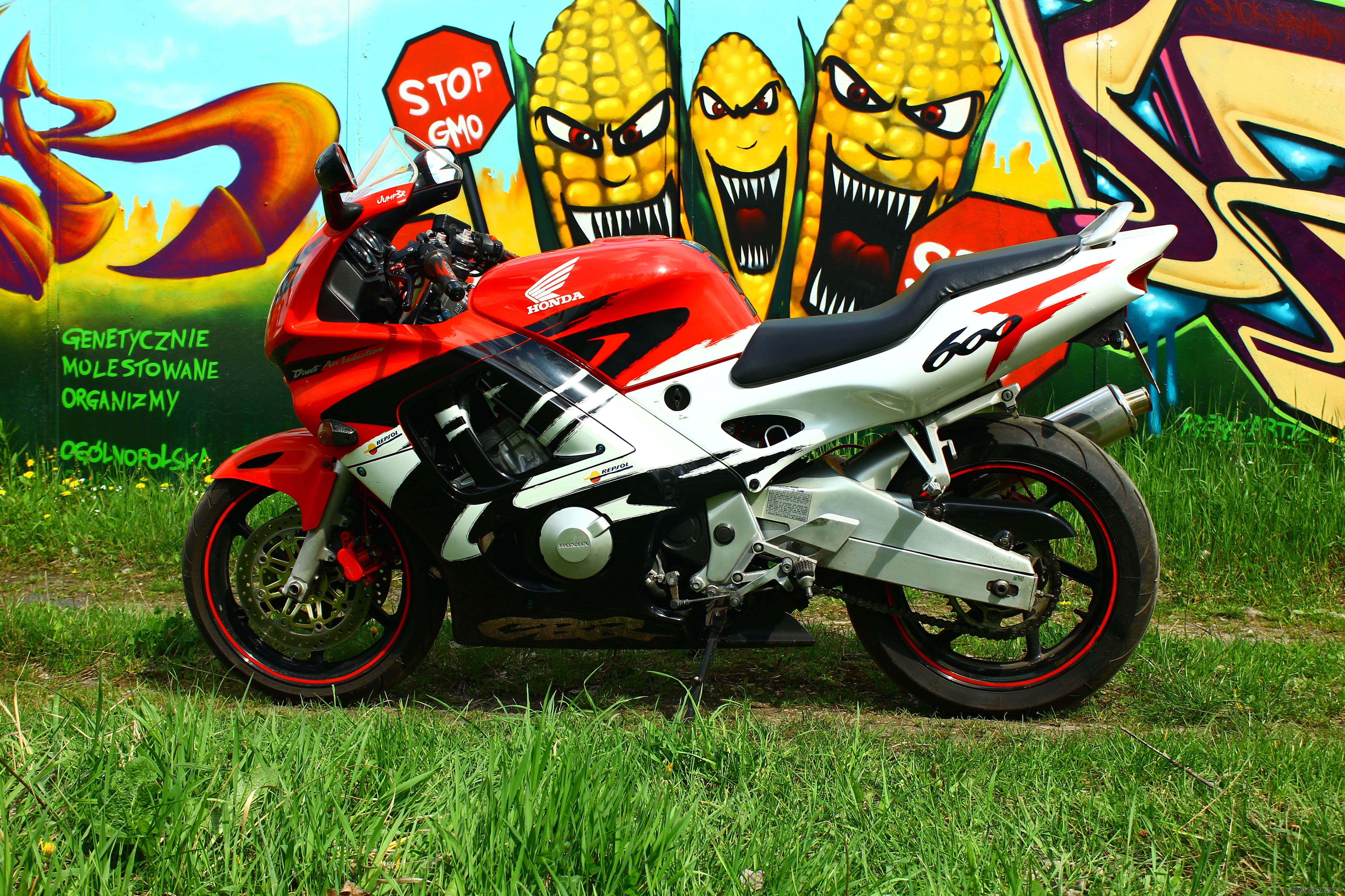 Photo 2663881