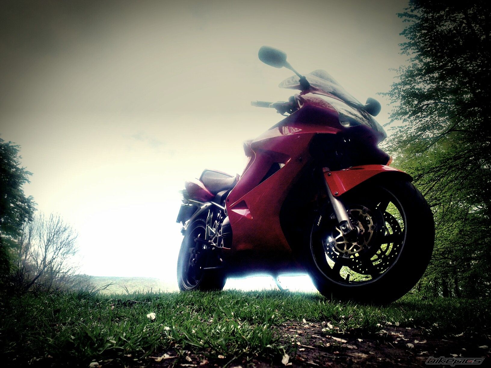 Photo 2663947
