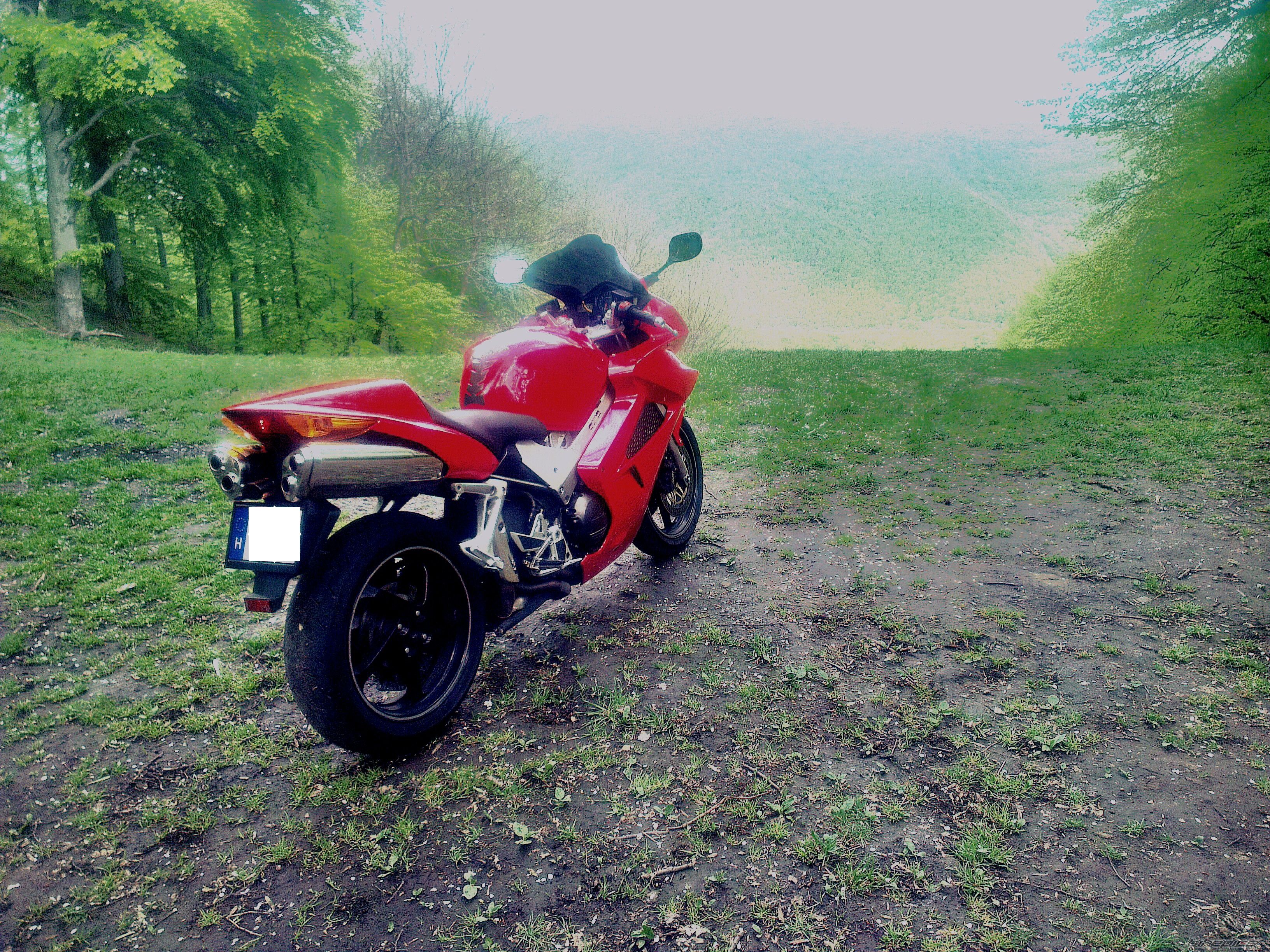 Photo 2663948