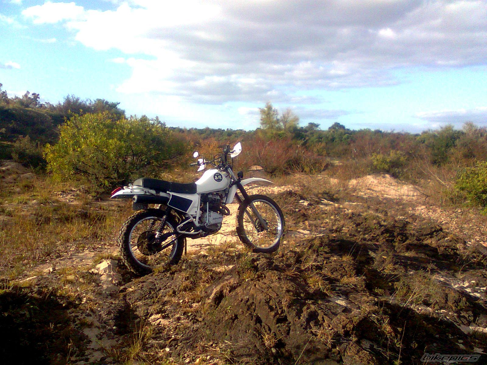 Photo 2663953