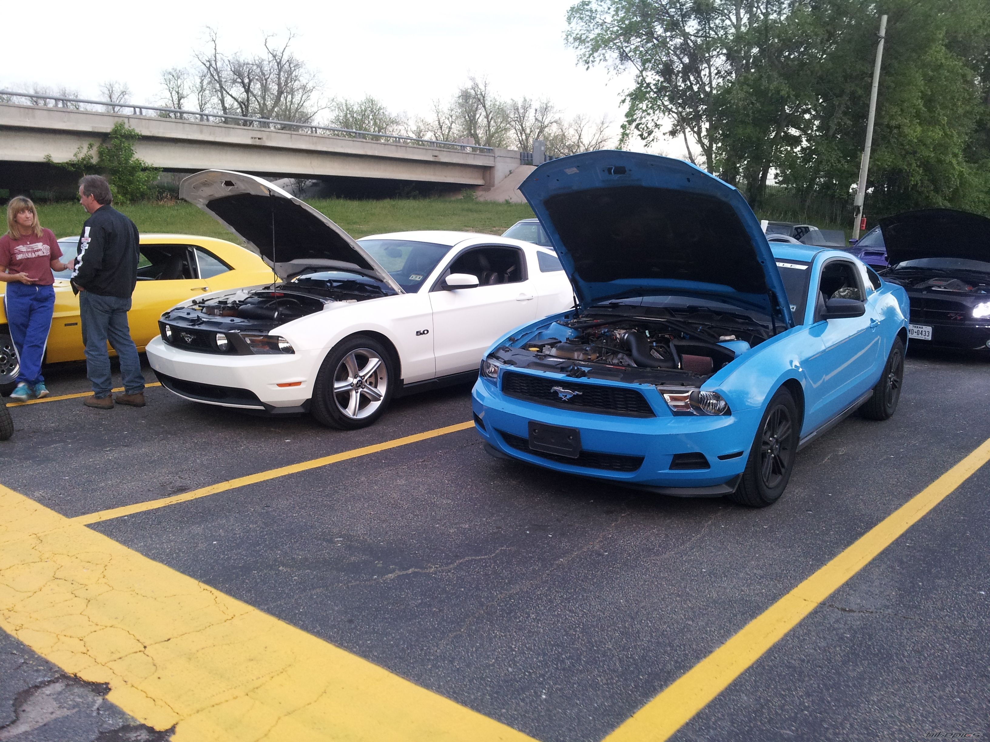 Photo 2664089