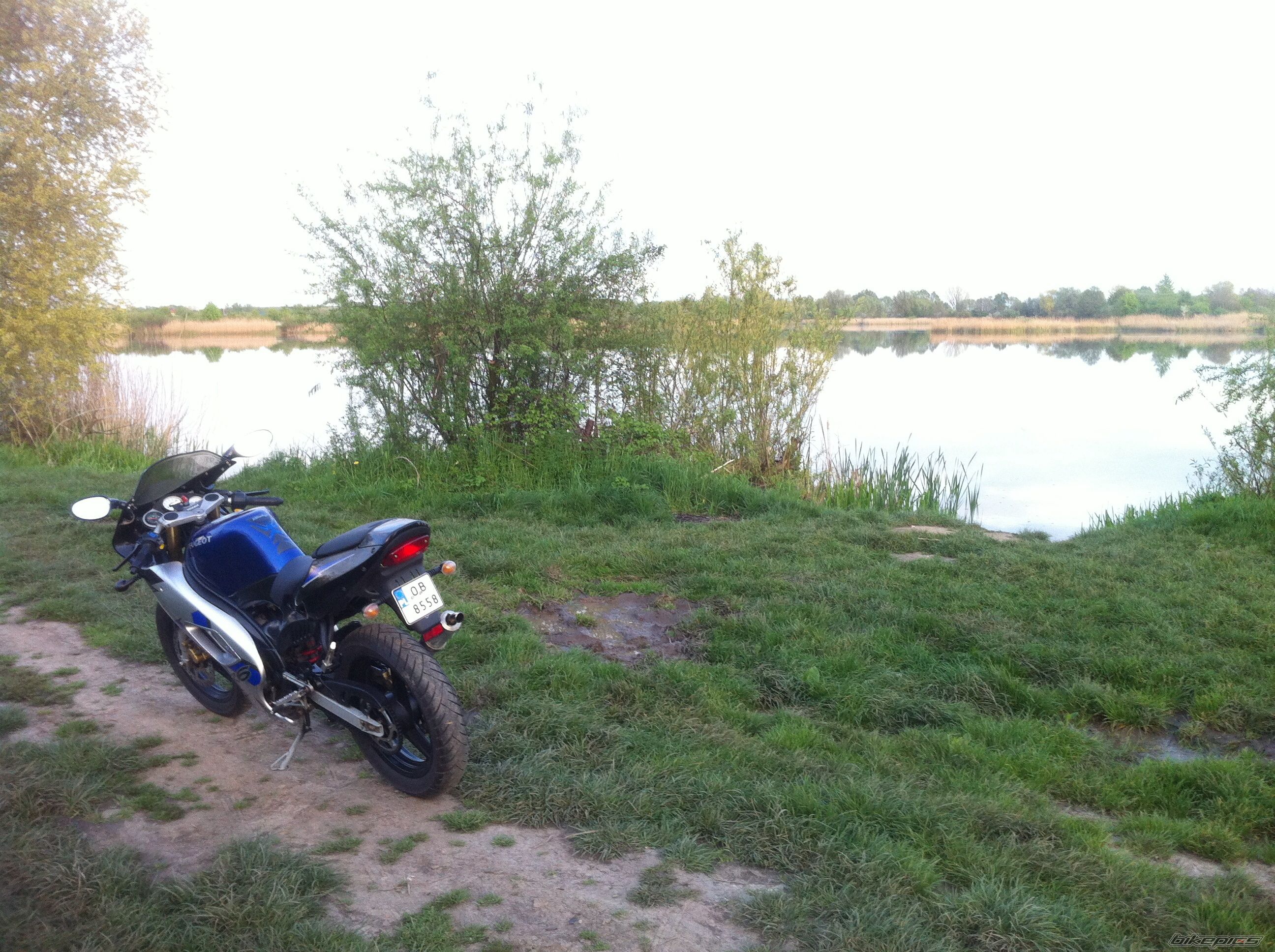 Photo 2664120