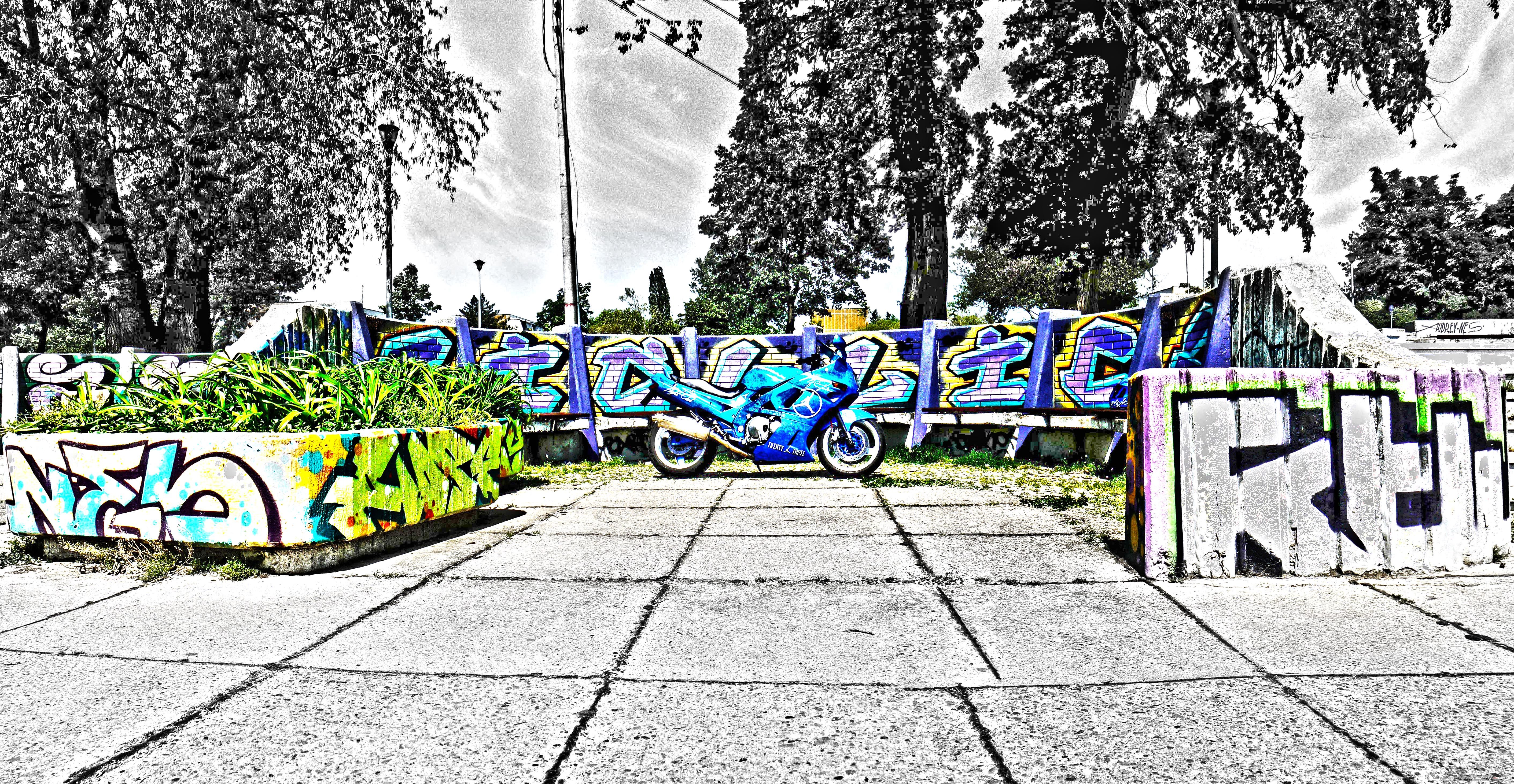 Photo 2664123