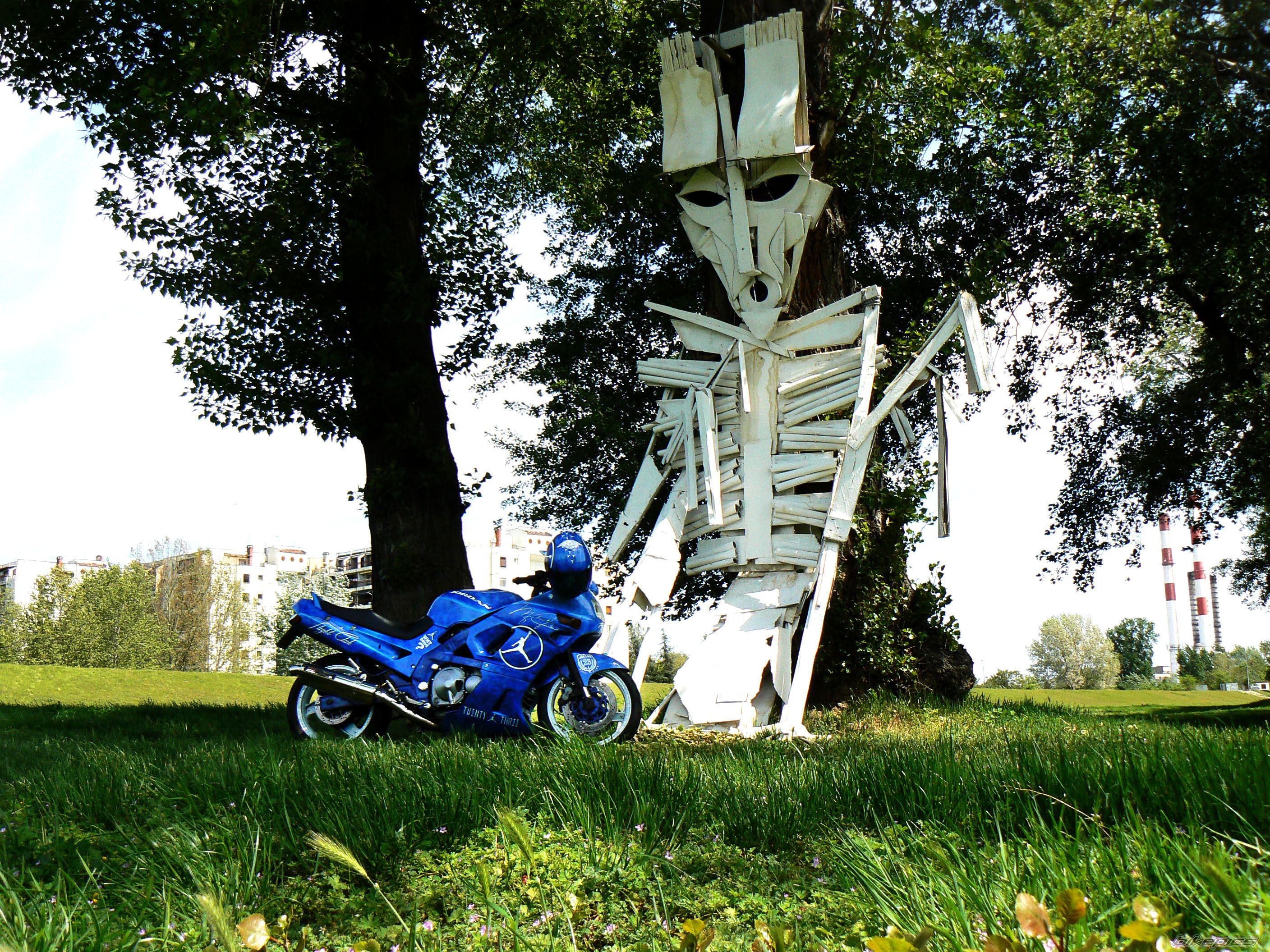 Photo 2664124