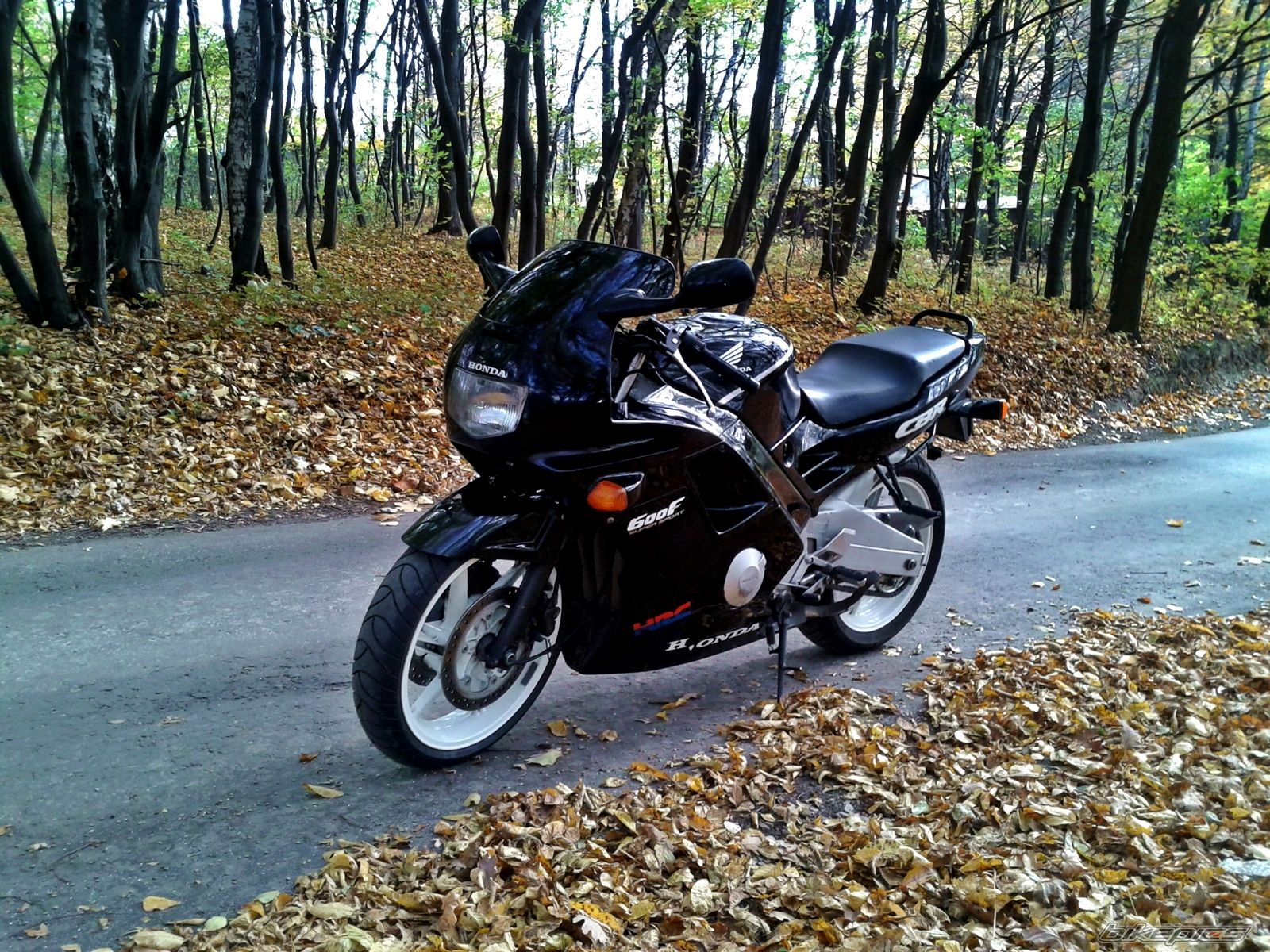 Photo 2664162