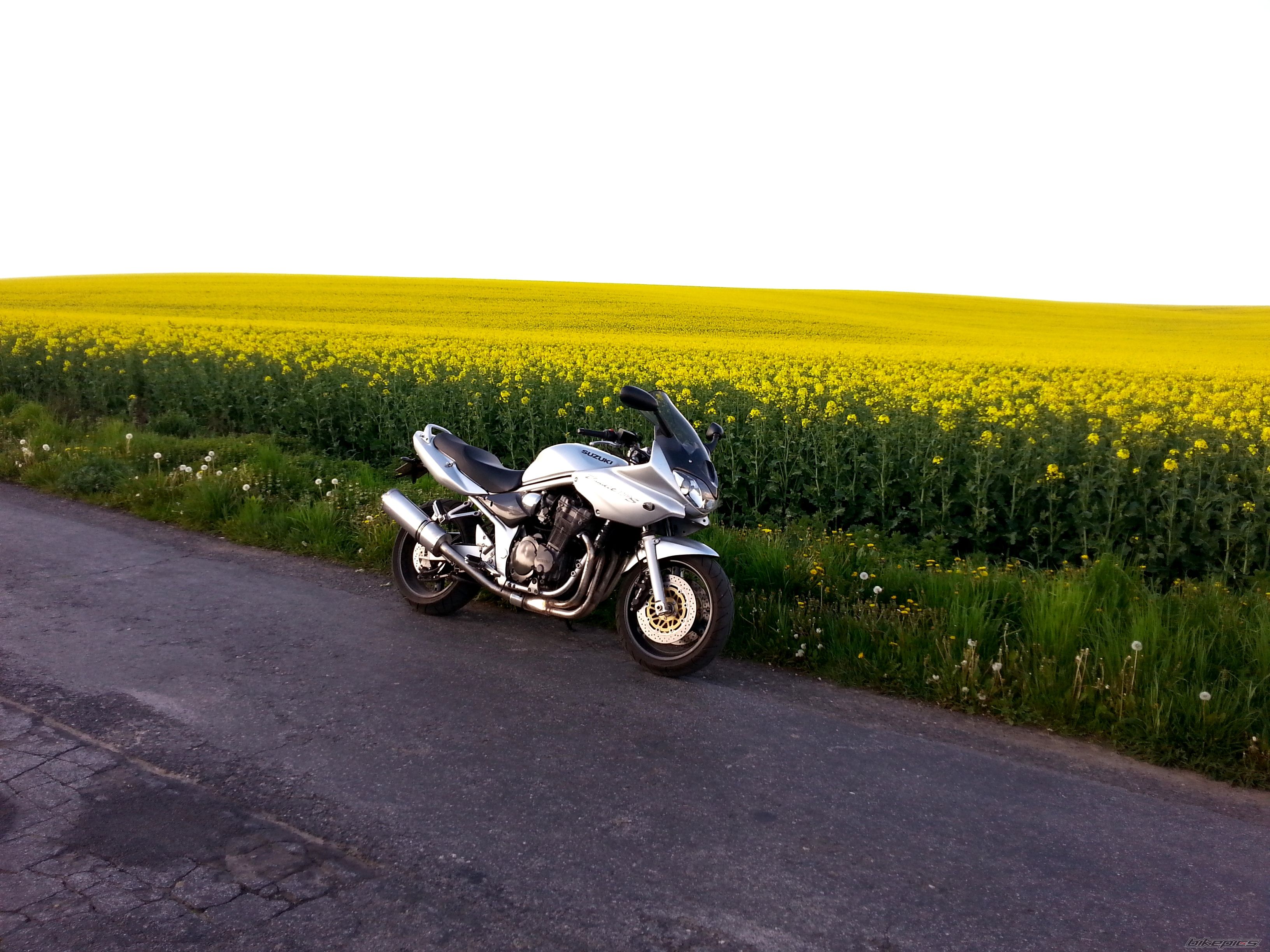 Photo 2664194