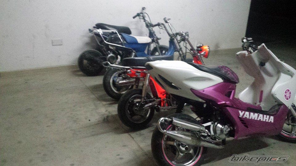Photo 2664208
