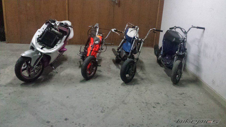 Photo 2664209