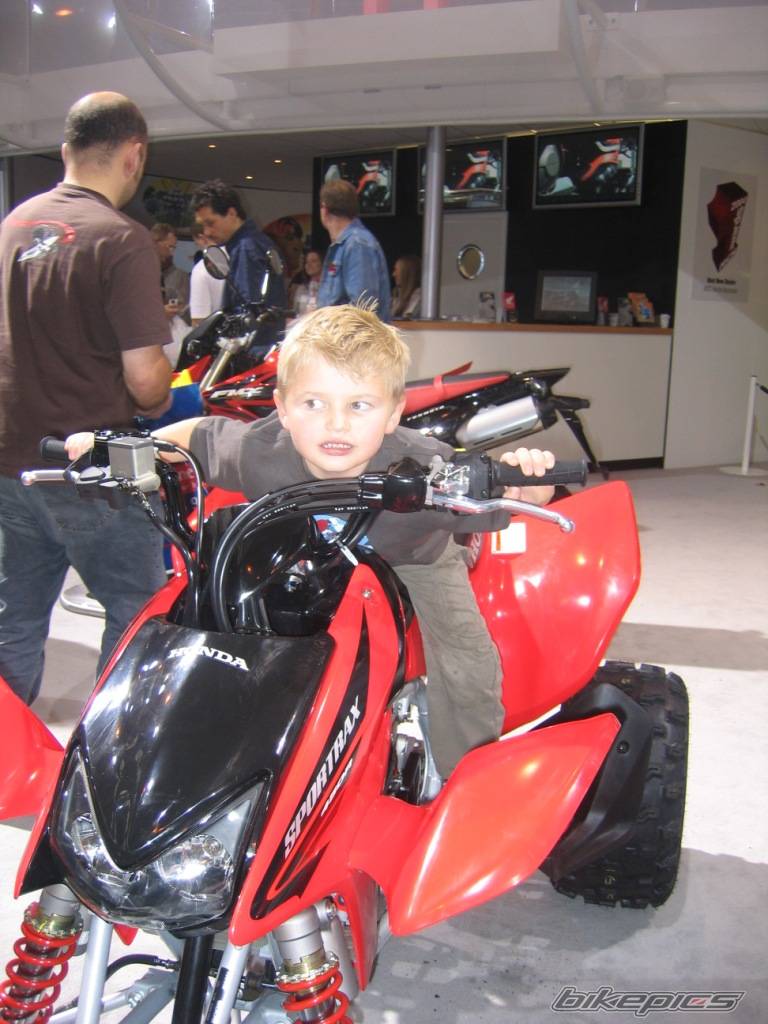 Photo 266426