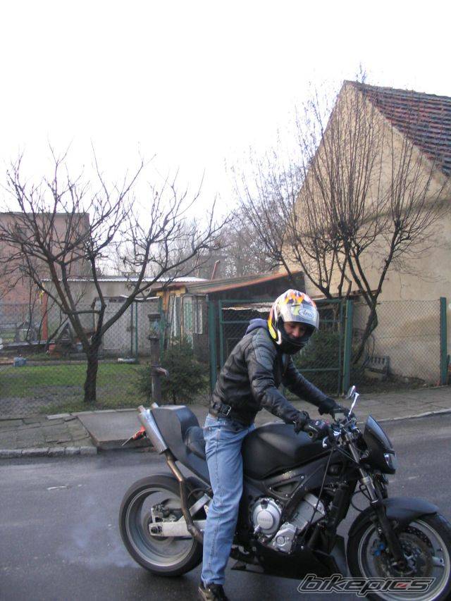 Photo 266428