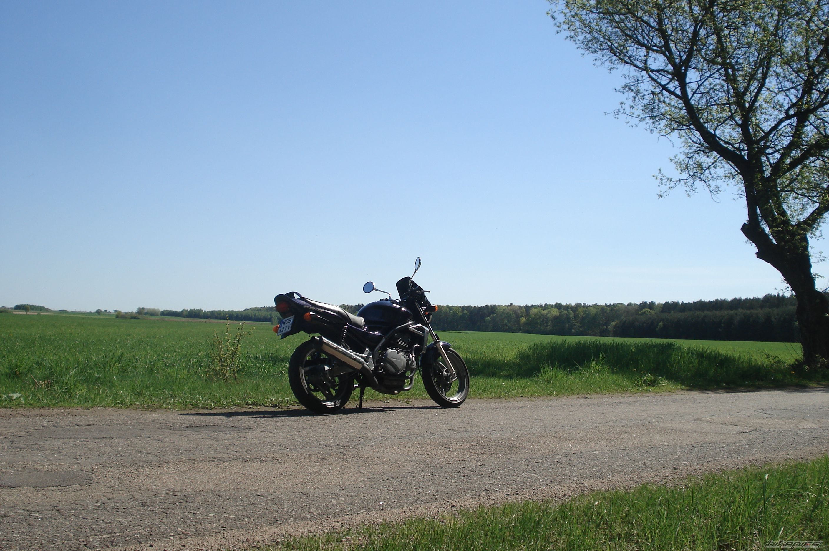 Photo 2664322