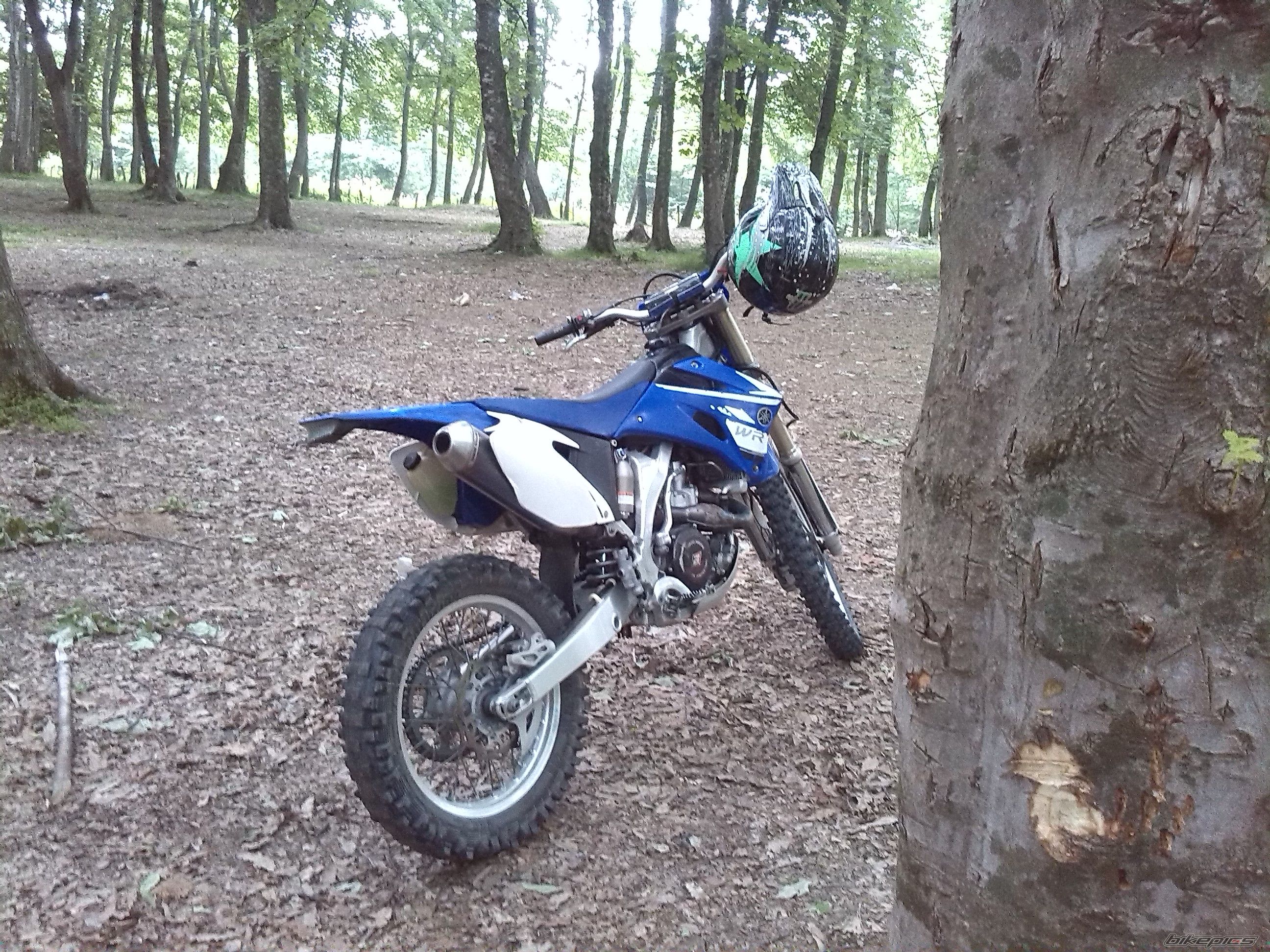 Photo 2664557