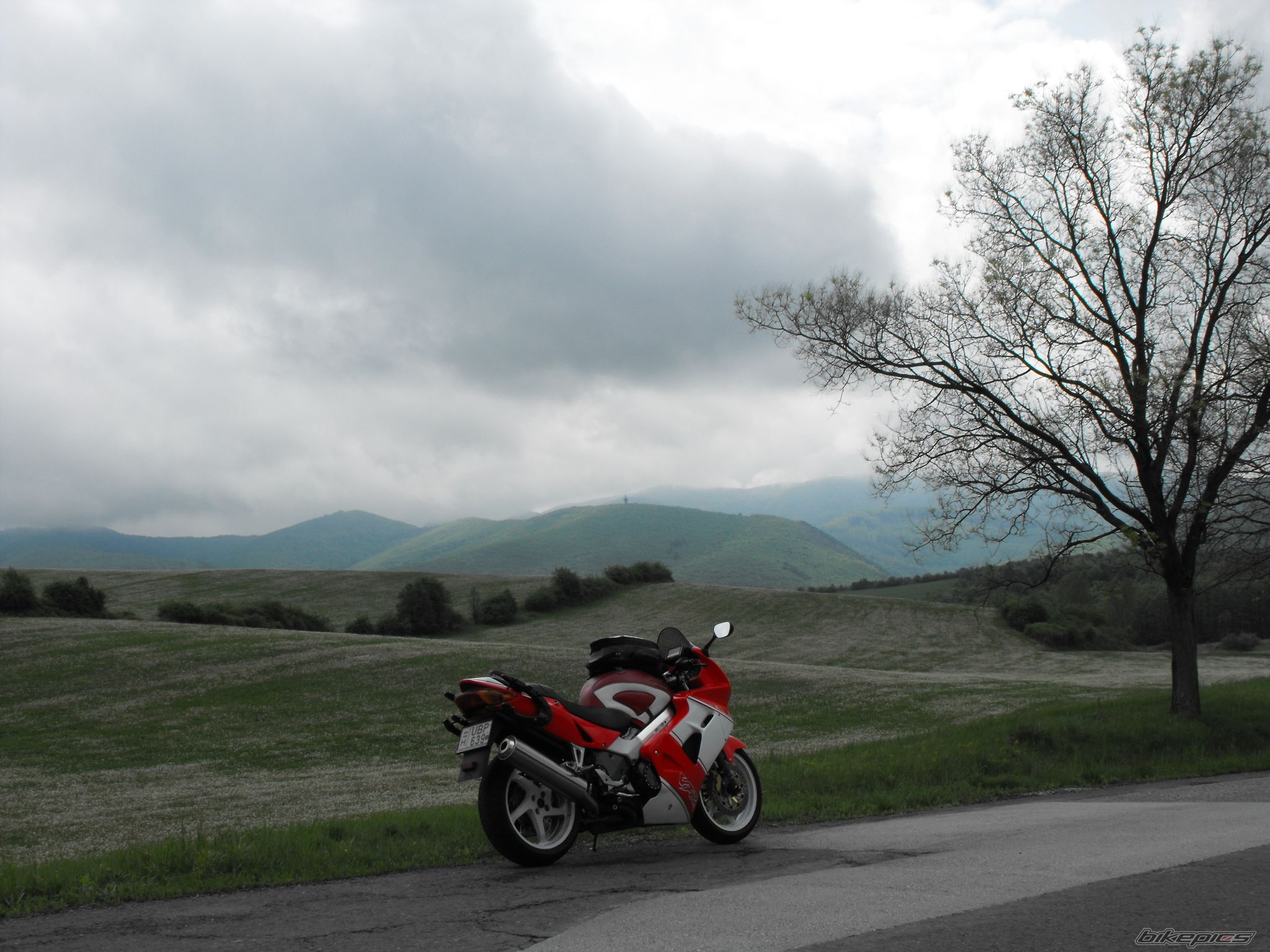 Photo 2664576