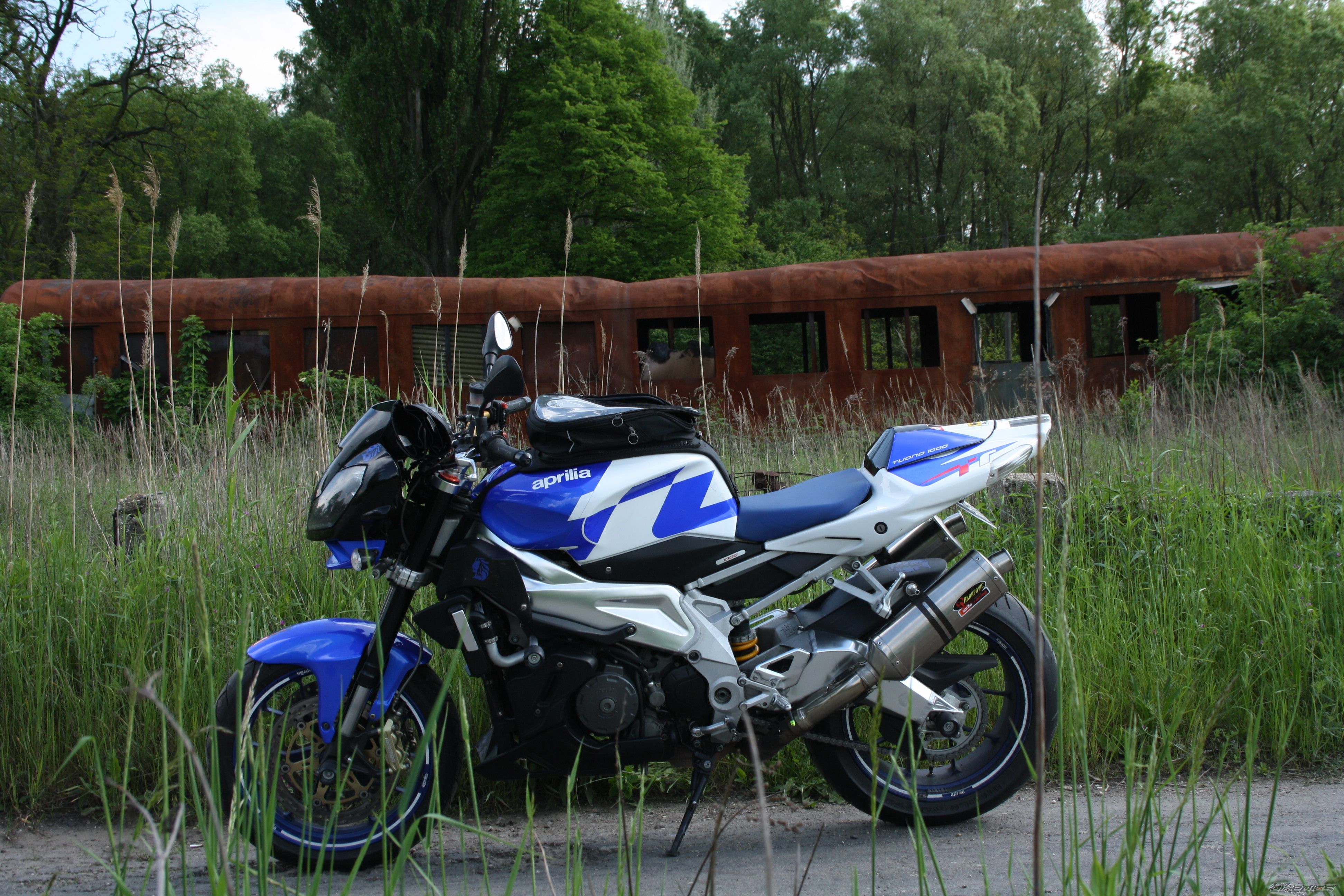 Photo 2664650