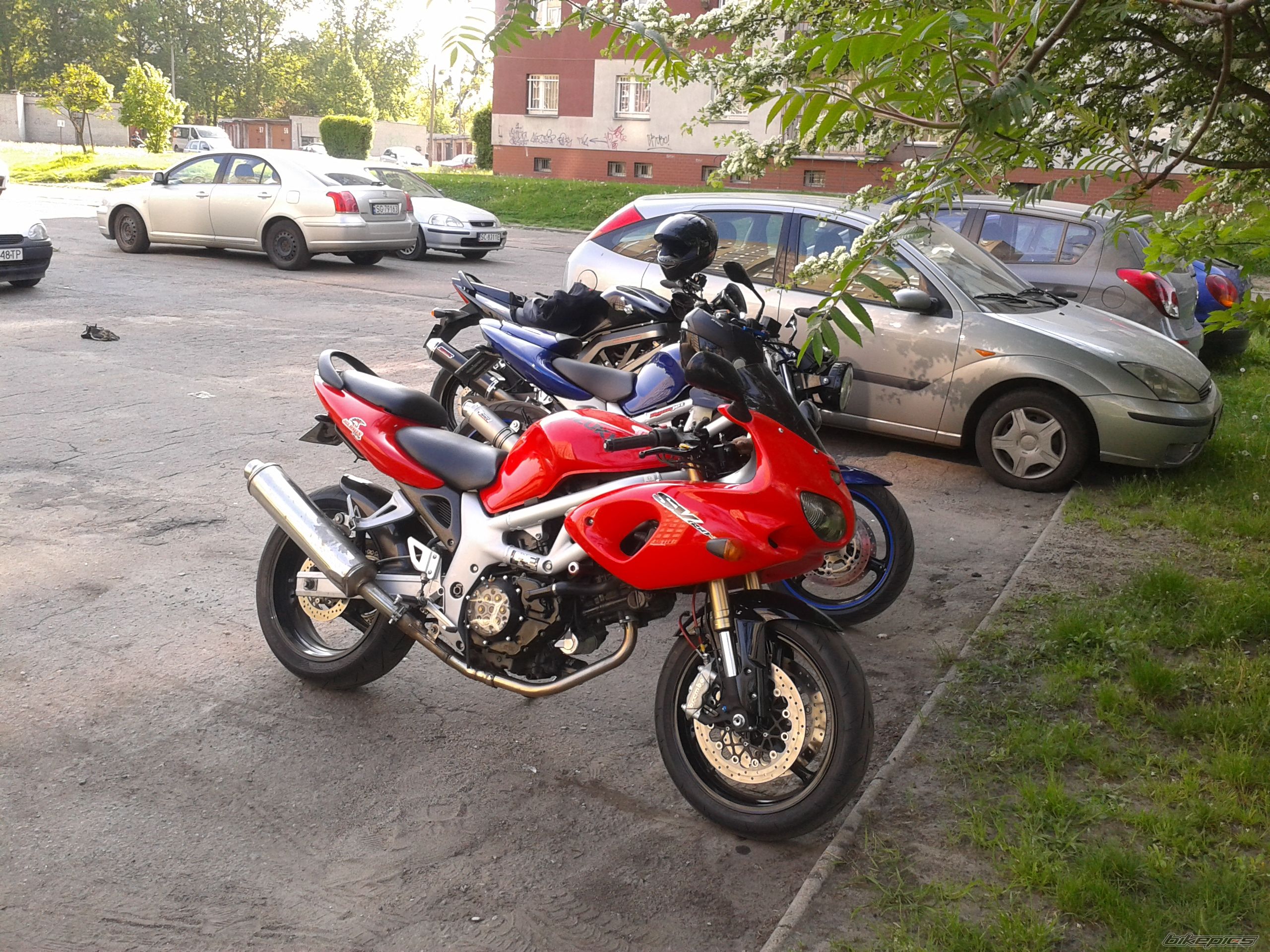 Photo 2664717