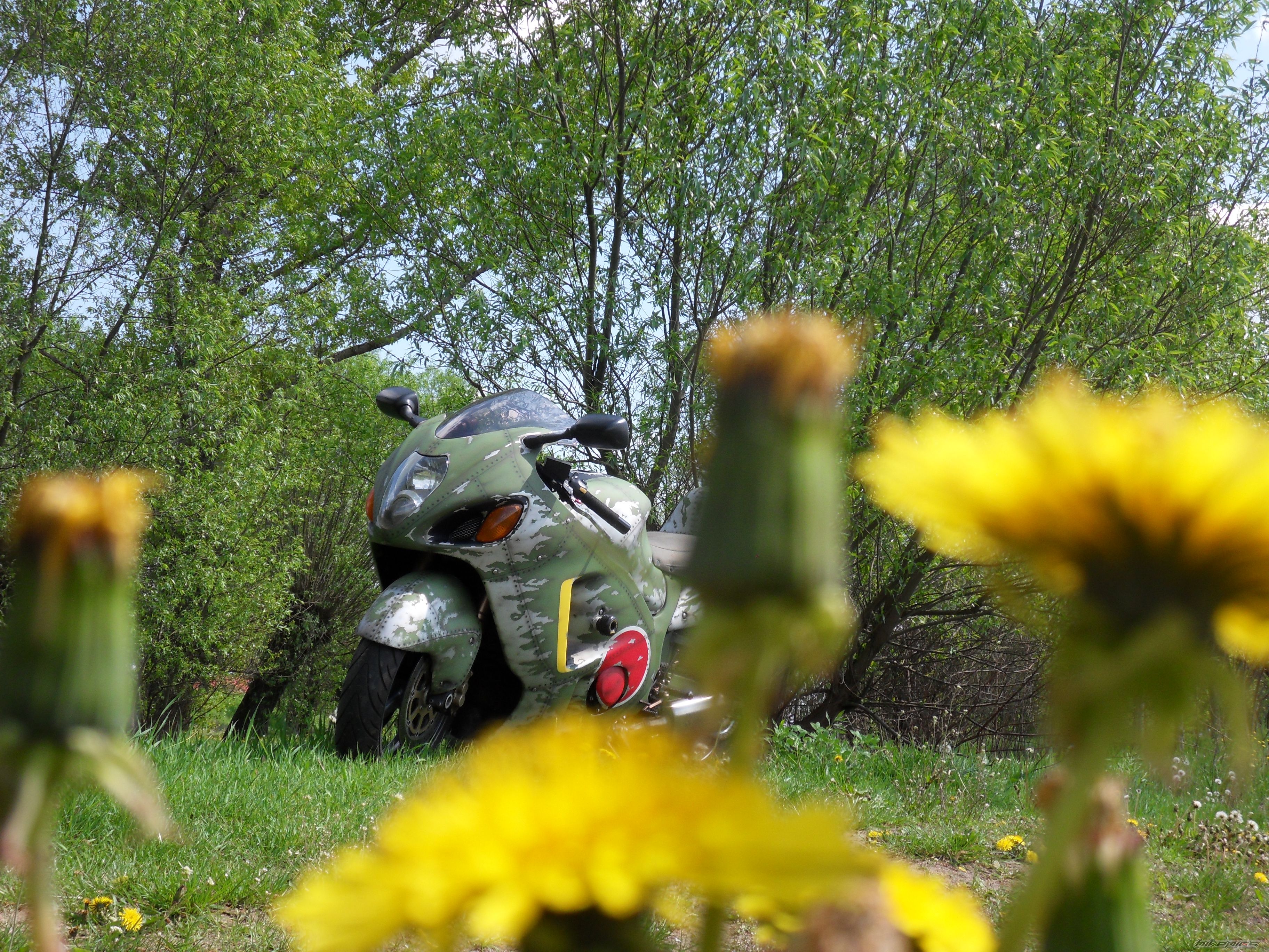 Photo 2664724