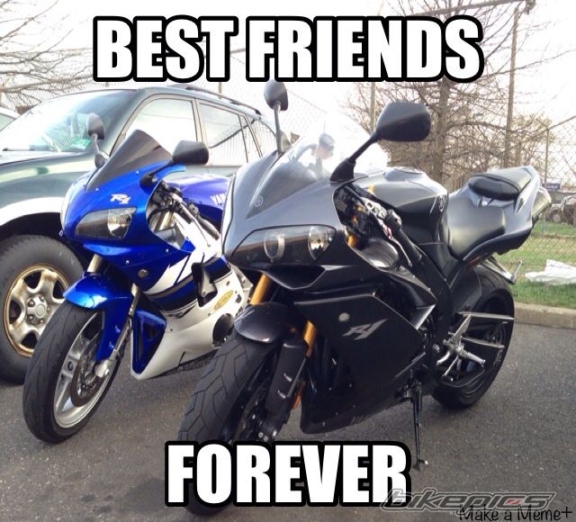 Photo 2664796