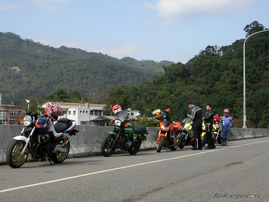 Photo 266483