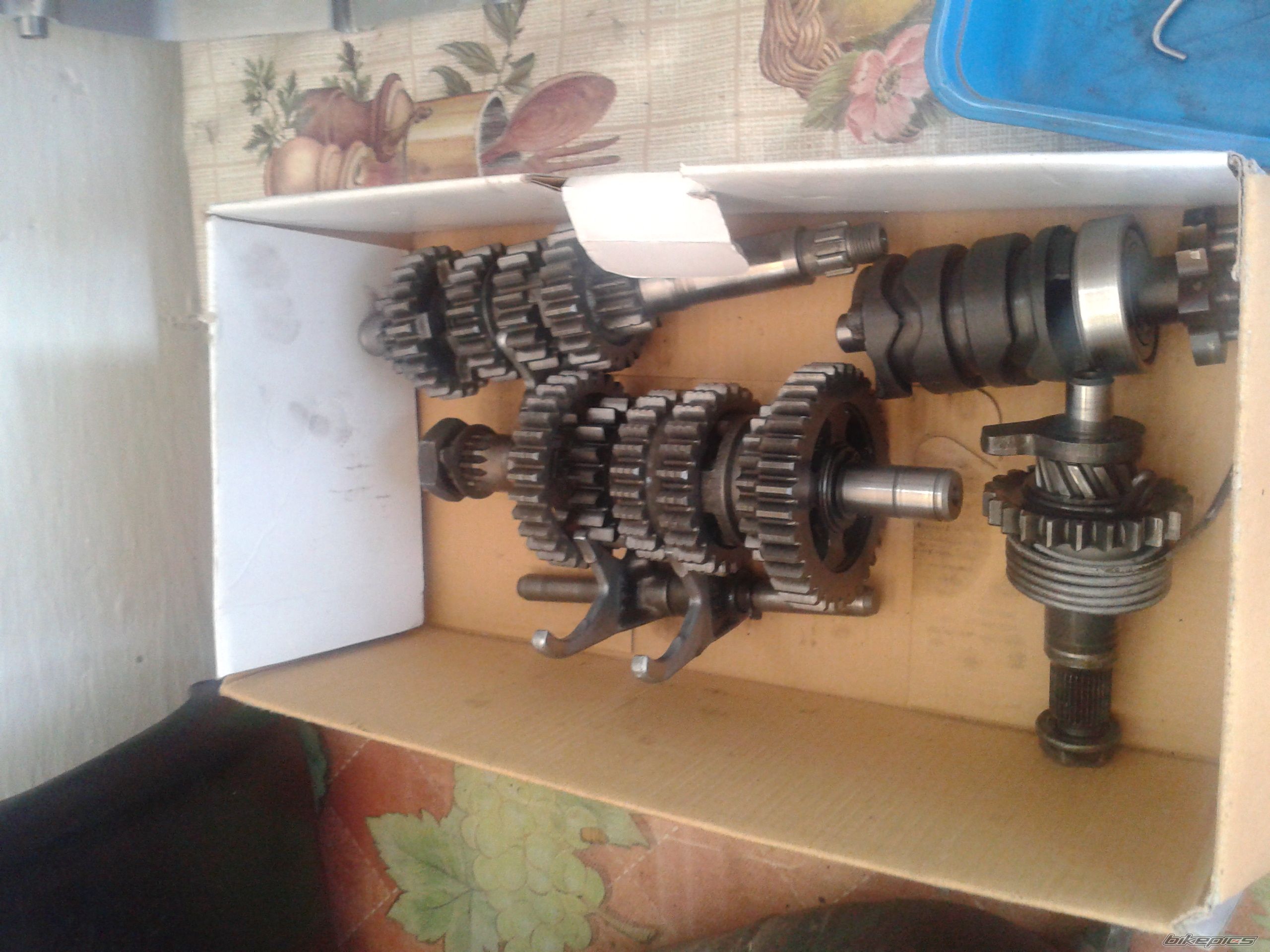 Photo 2664842